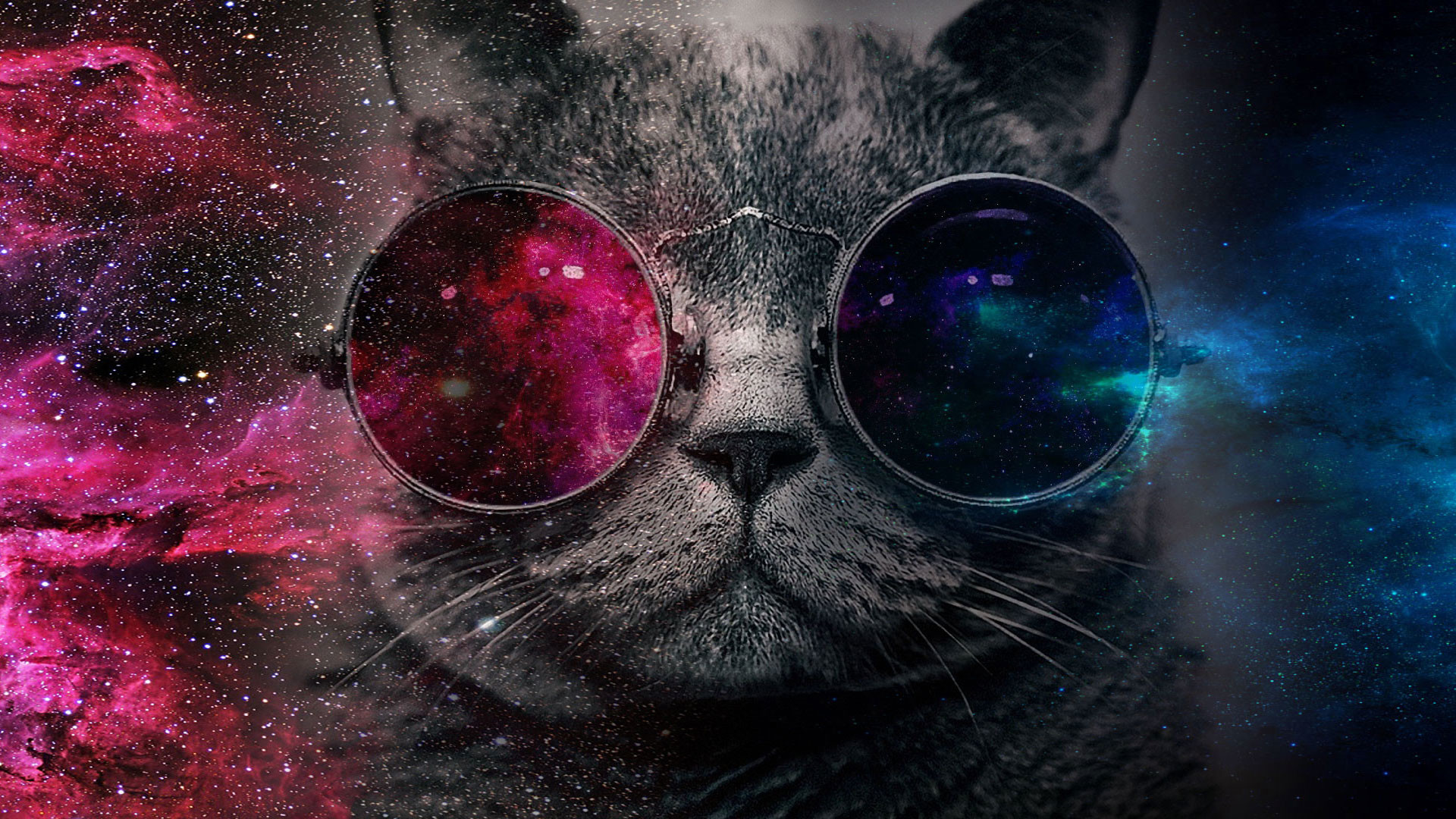 Galaxy cat HD wallpapers  Pxfuel