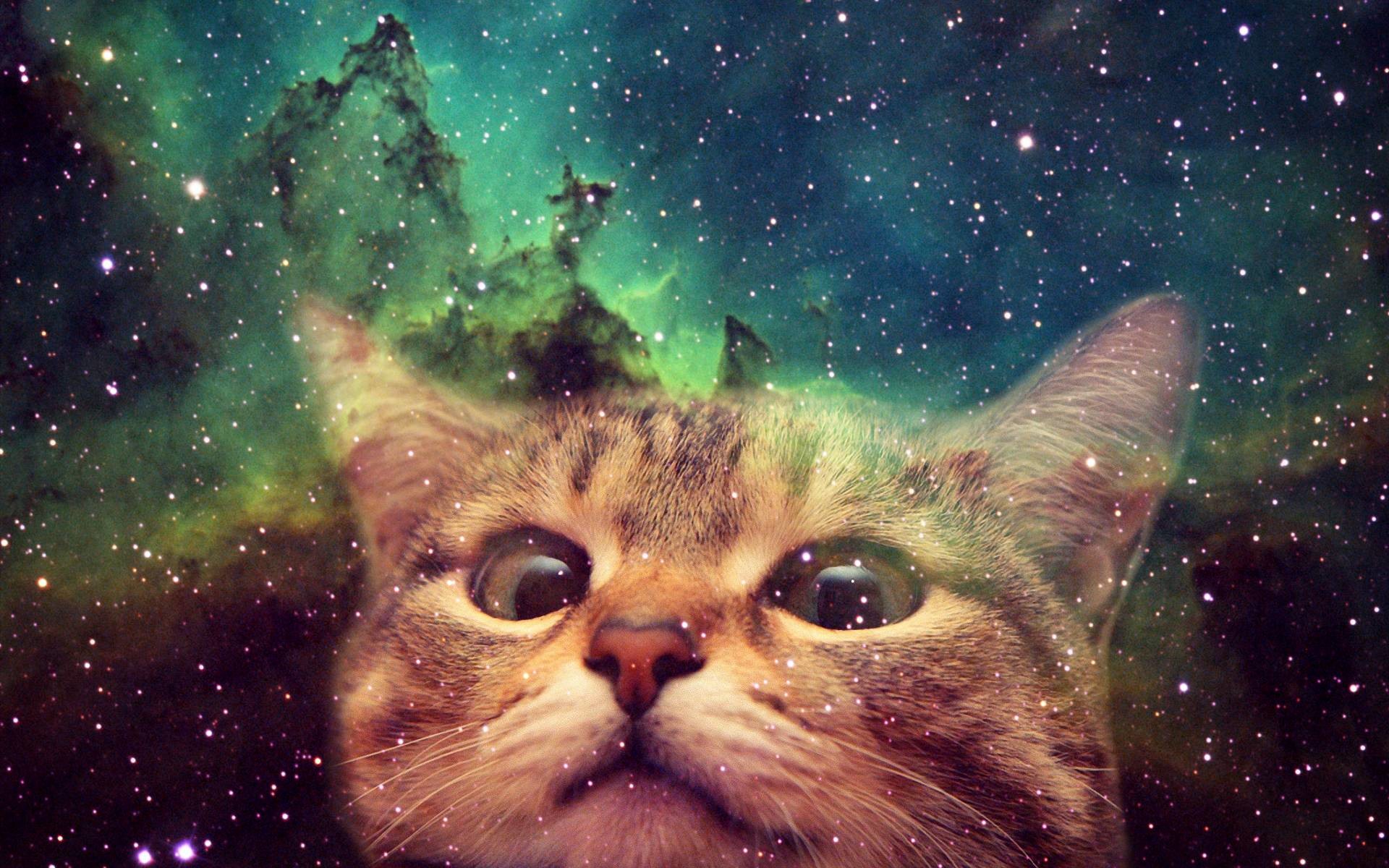 Awesome Cats In Space Wallpapers – Caveman Circus | Caveman Circus .