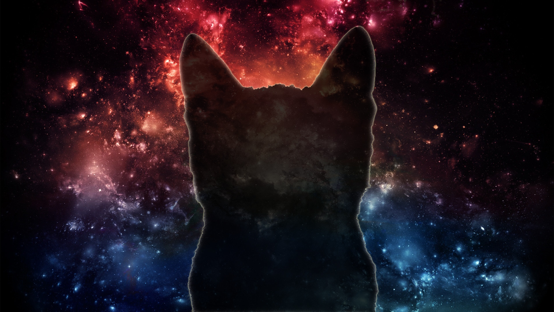 Space Cat [1920×1080] : wallpapers