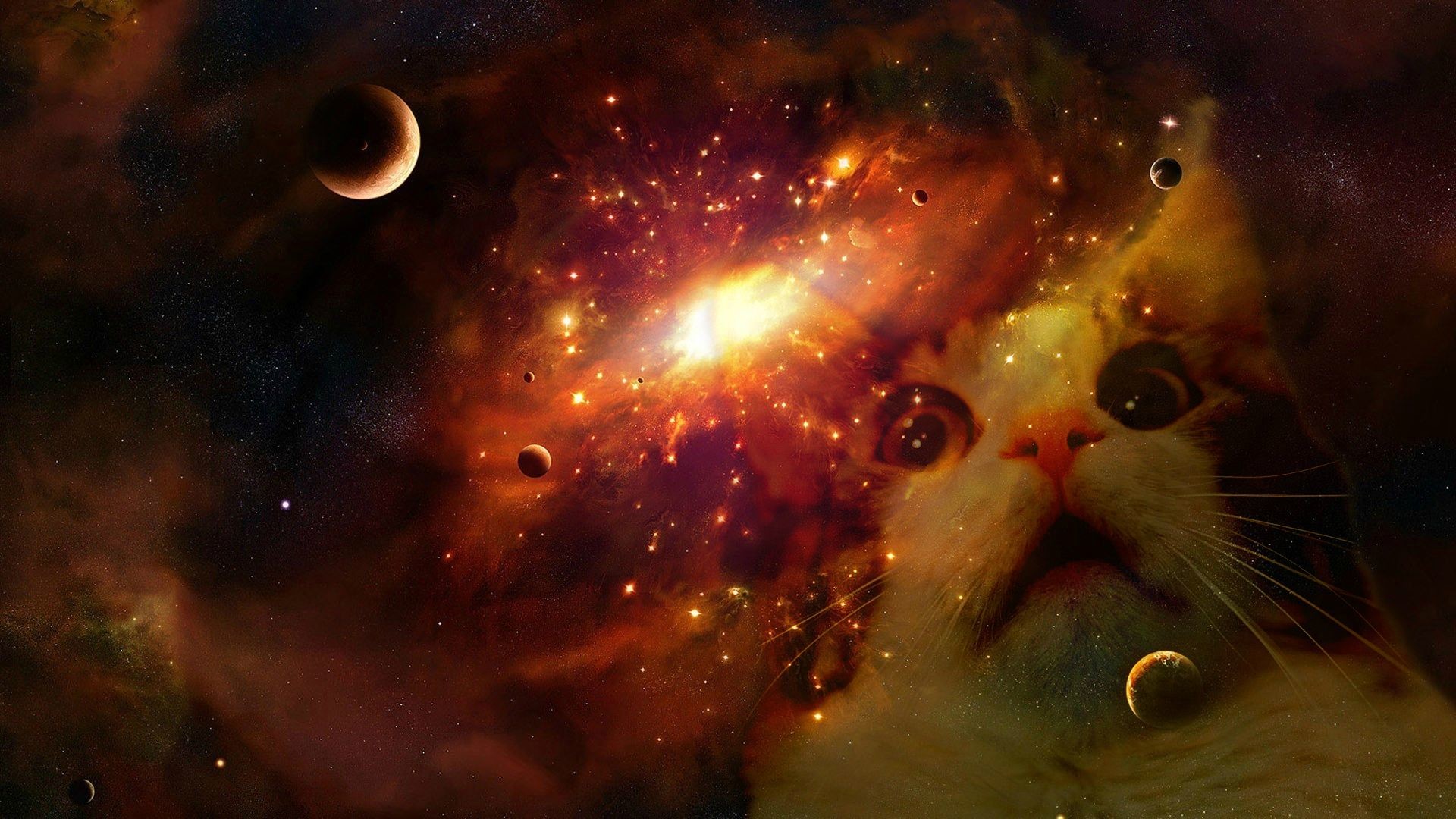 Space cat (my first attempt at Photoshop) …