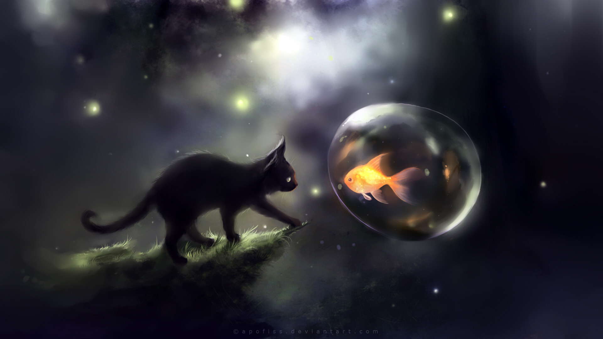 Space Cats HD Wallpaper – WallpaperSafari