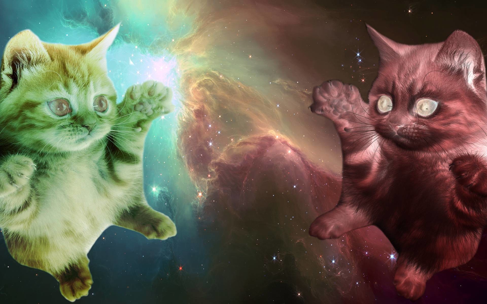 My collection of OC (outerspace cats) These have been fun to do. I will  keep making them and adding them to the album later.