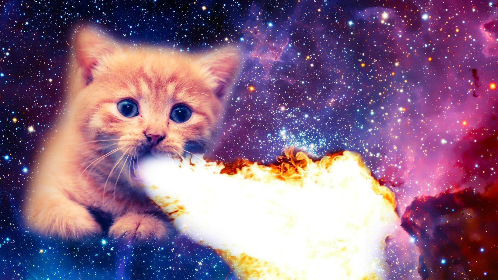 Обои котики мемы. Спейс Кэт. Кот в космосе. Кот на фоне космоса. Котенок в космосе.