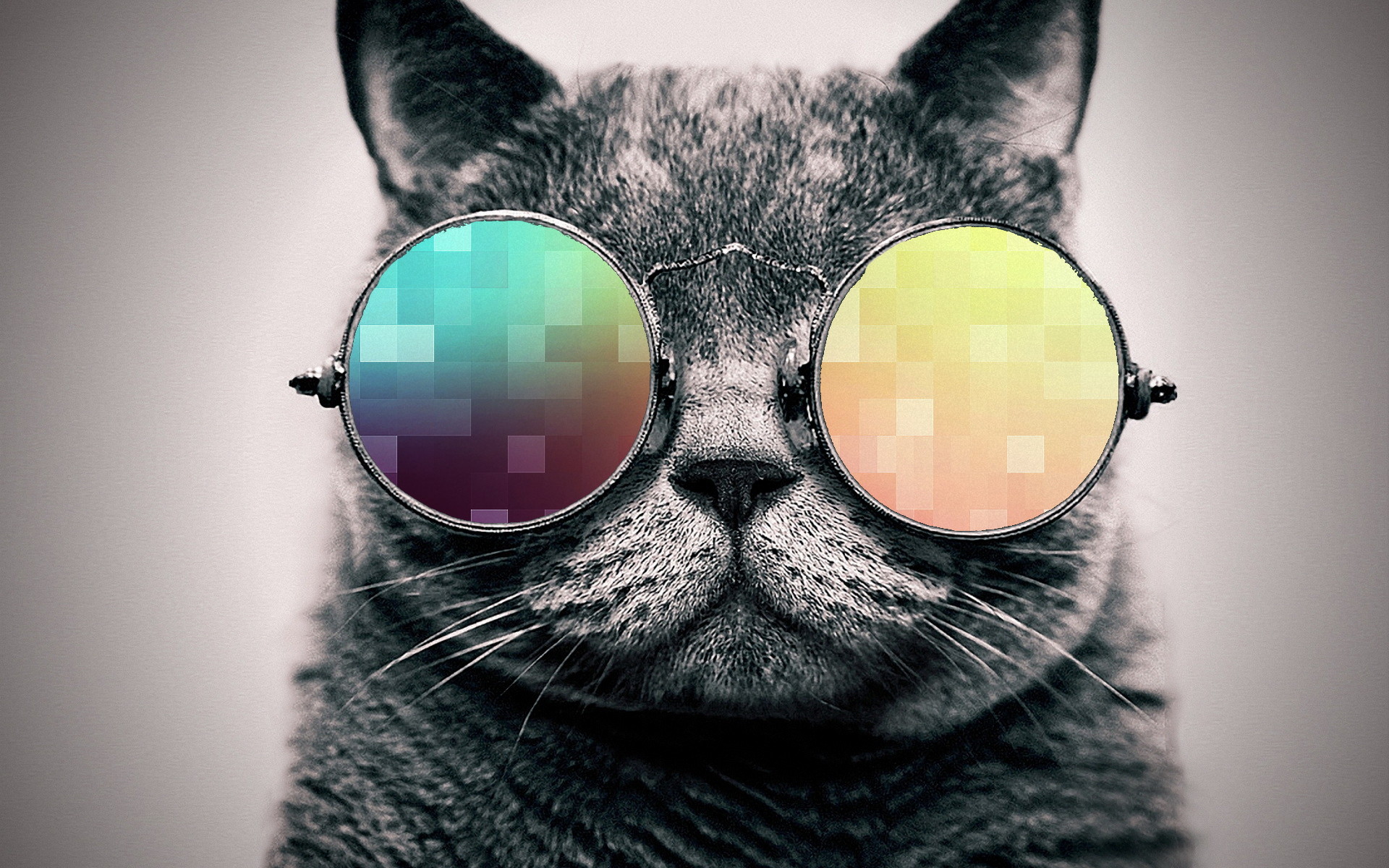 Cool cat wallpaper. By ToValhalla Download 1920 X 1200