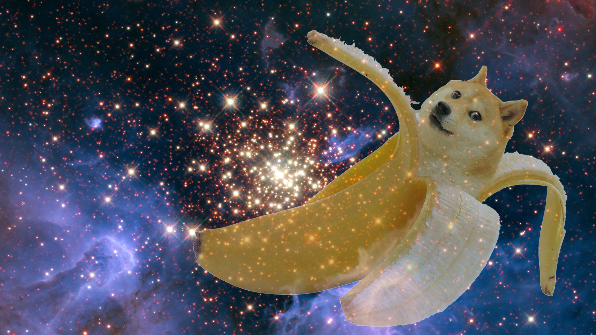 Собака на фоне космоса
