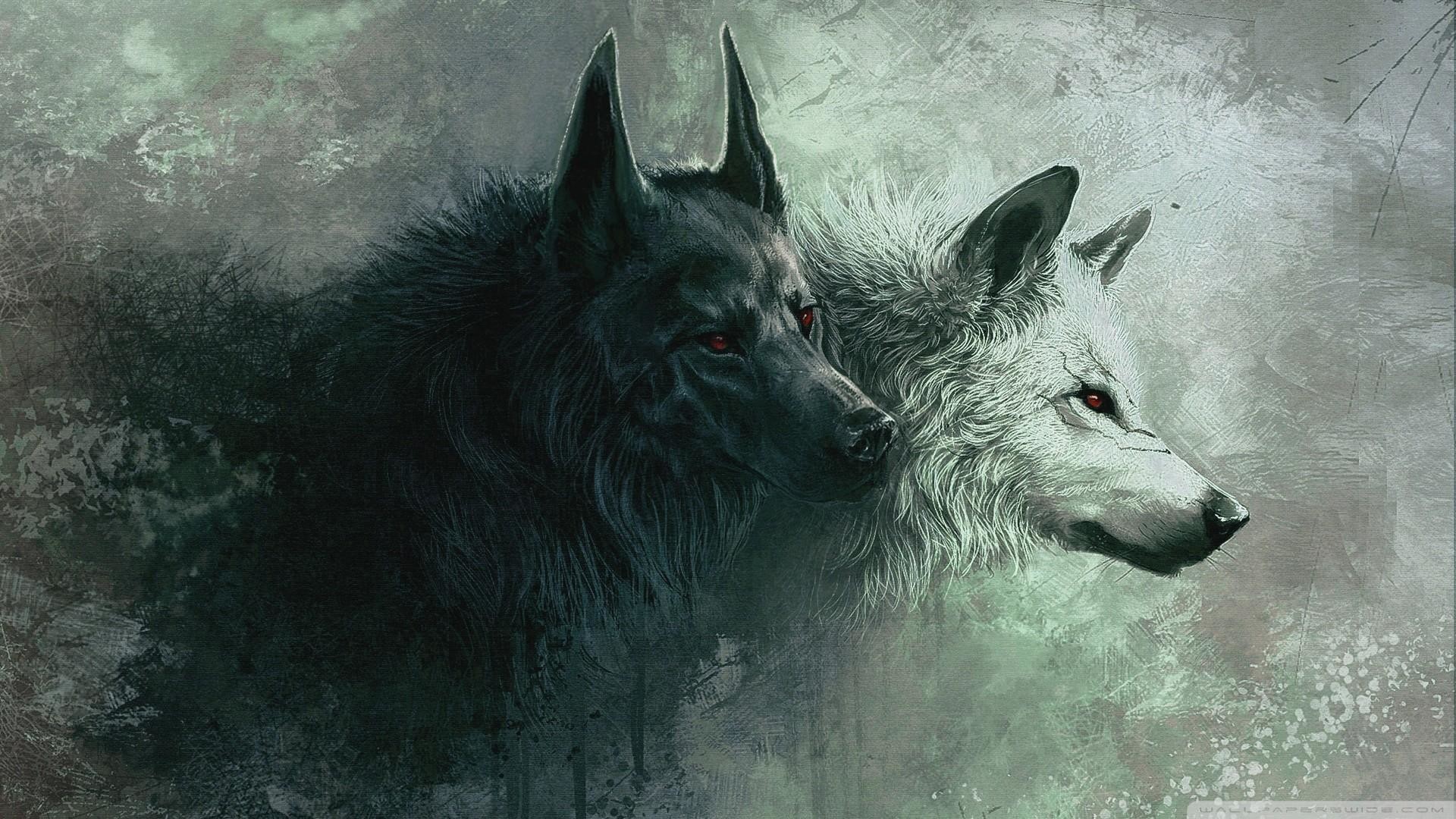 Wolf HD wallpapers