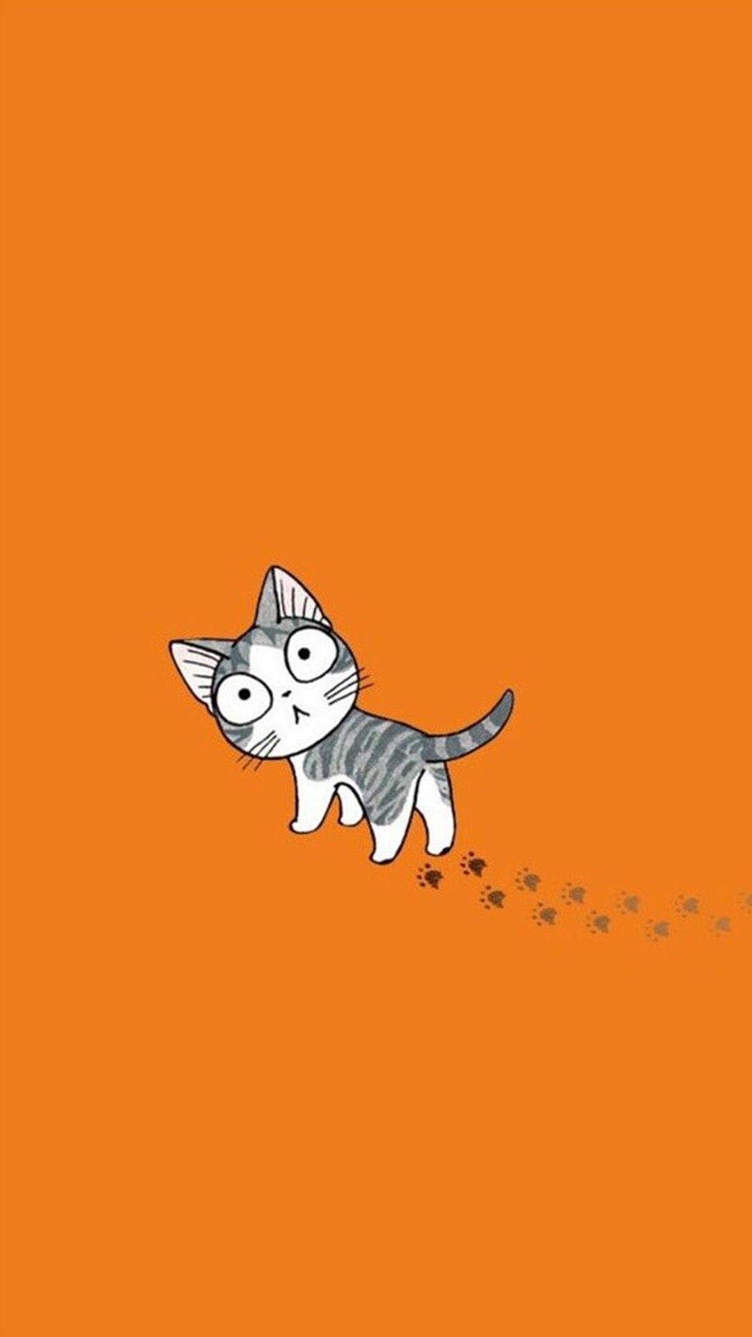 Кошка на оранжевом фоне
