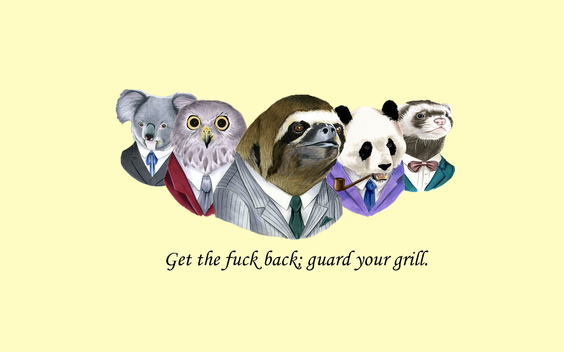 Sloth Suit WTF Fuck Owl Koala Panda Weasel wallpaper