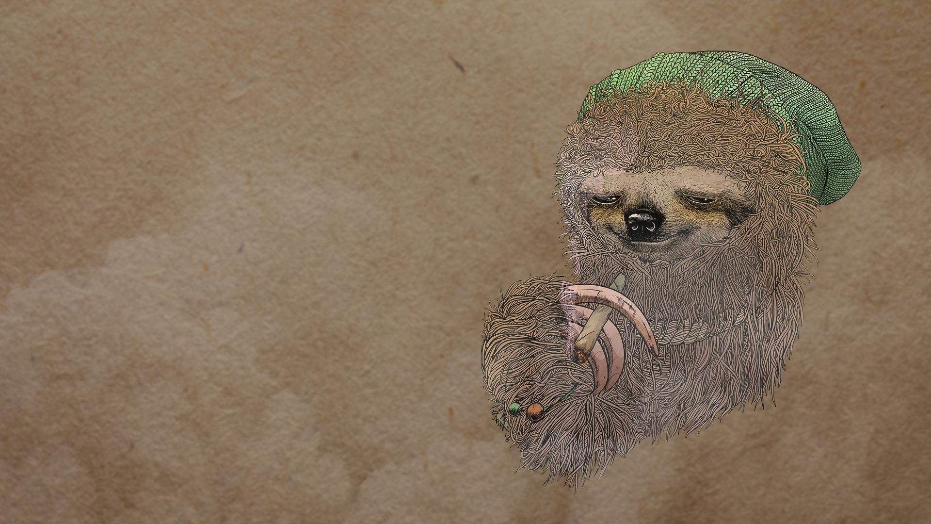Sloth Image Download Free
