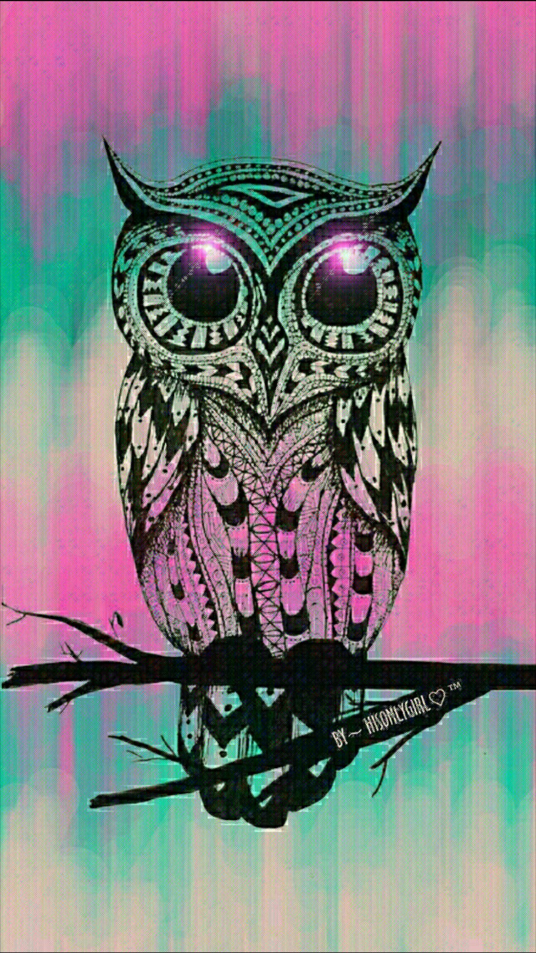 Explore Owl Wallpaper, Cute Owl, and more