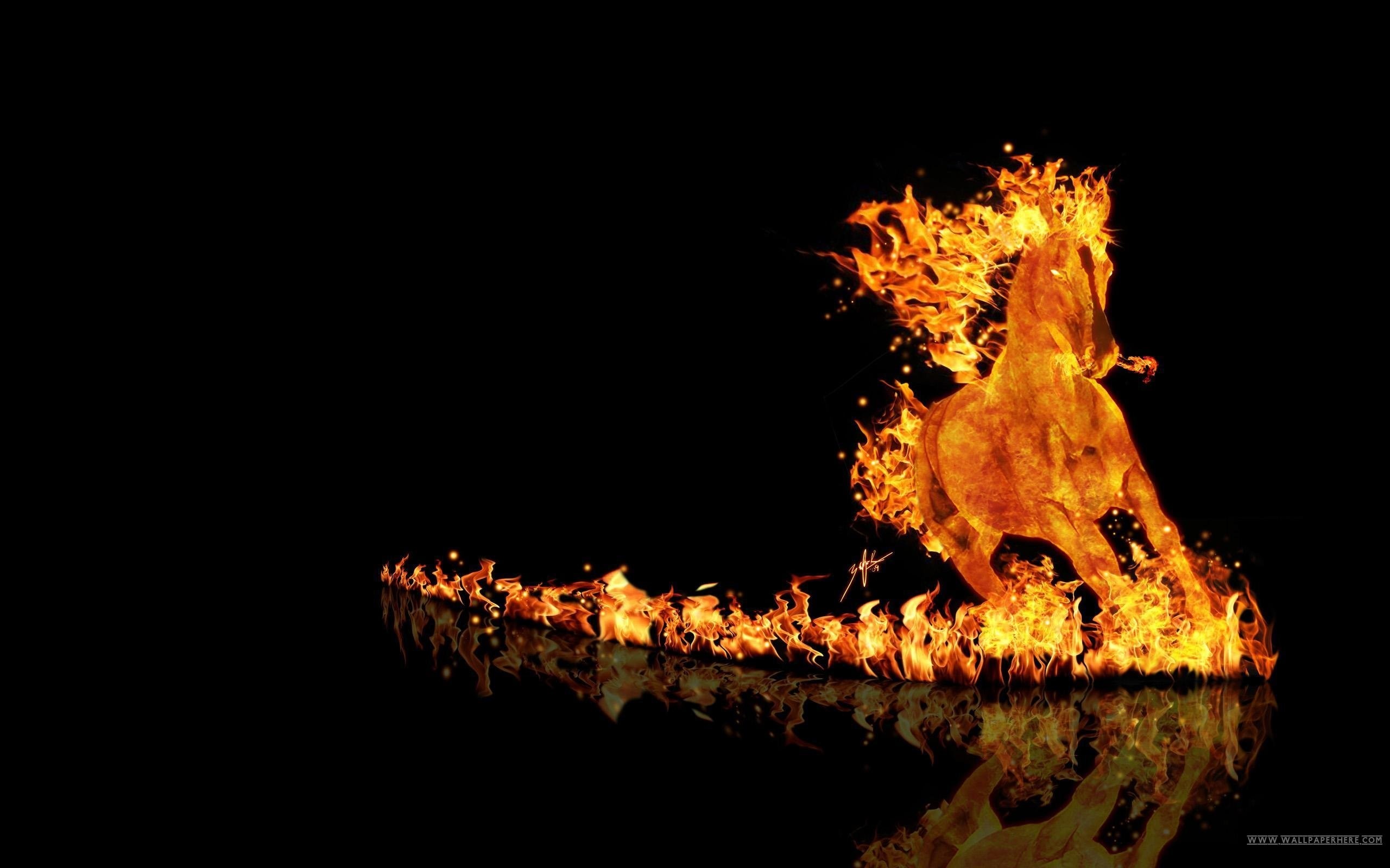 Cool Fire Wallpapers Photo