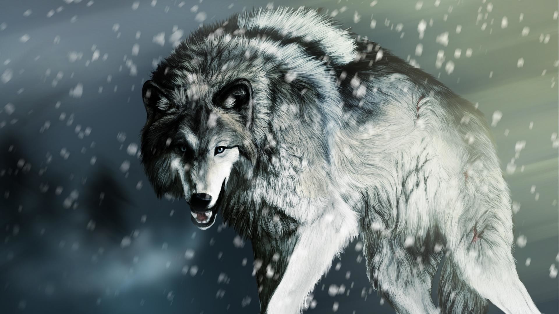 Wallpapers For > Cool Wolf Wallpaper Hd