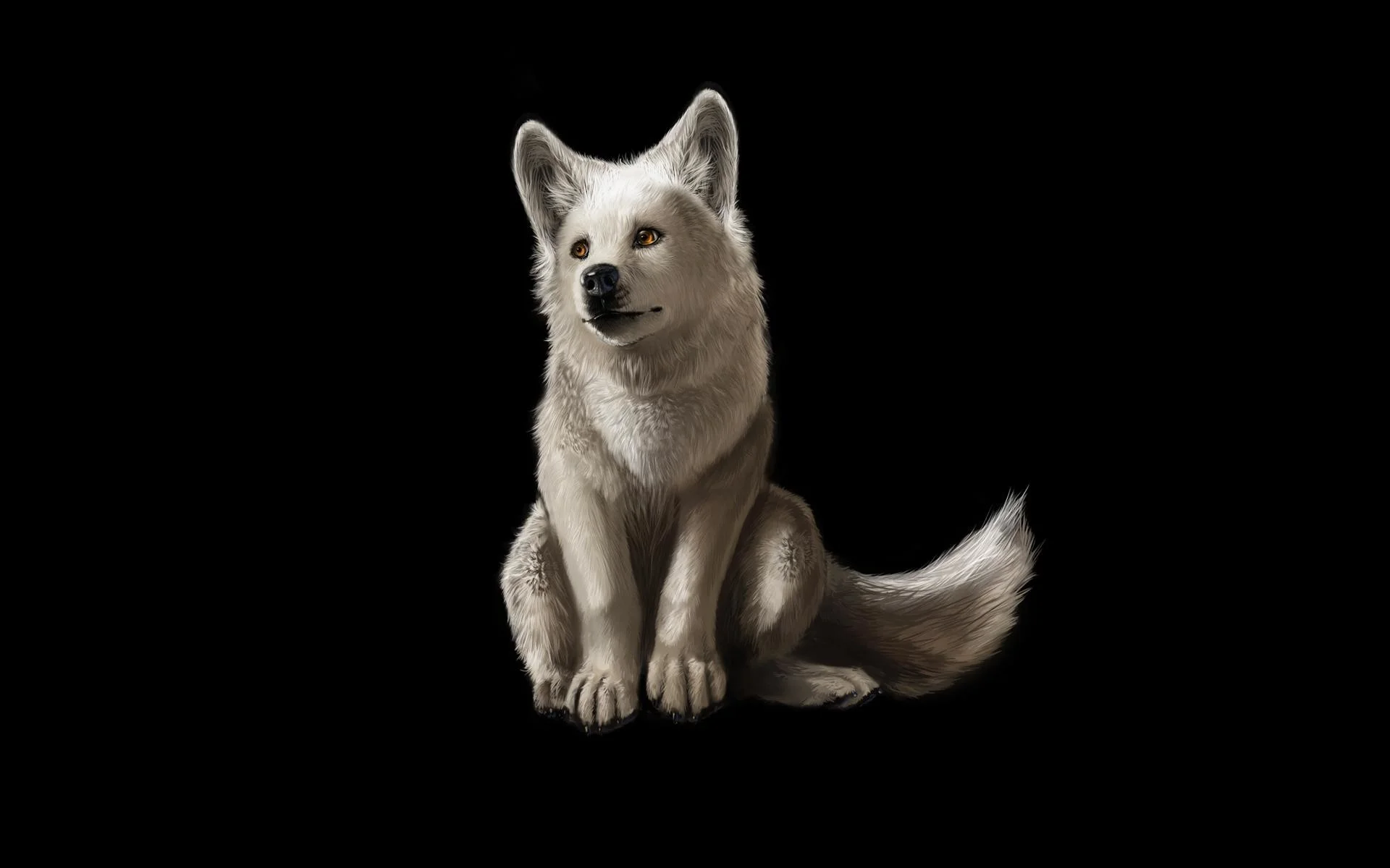 Wallpapers For > Cool White Wolf Backgrounds