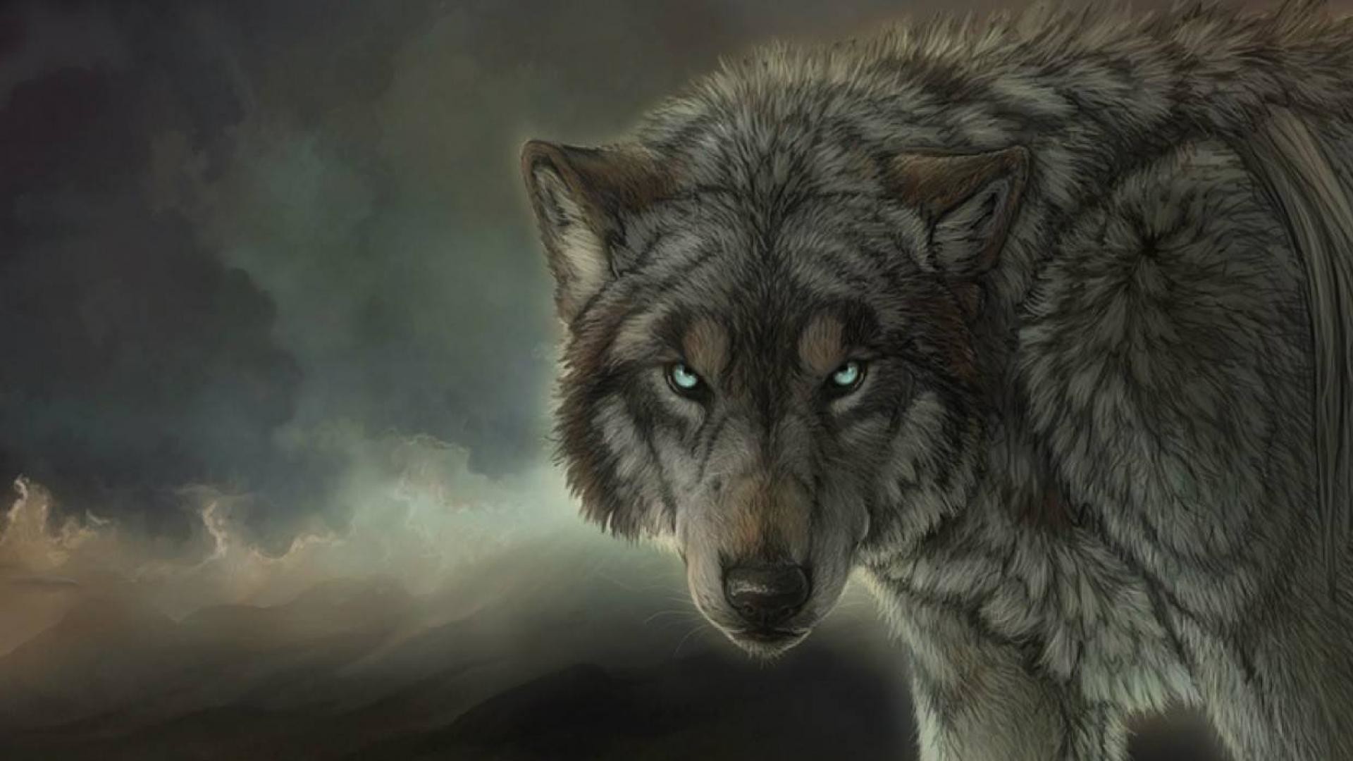 Wolf Wallpapers – Wallpaper Cave