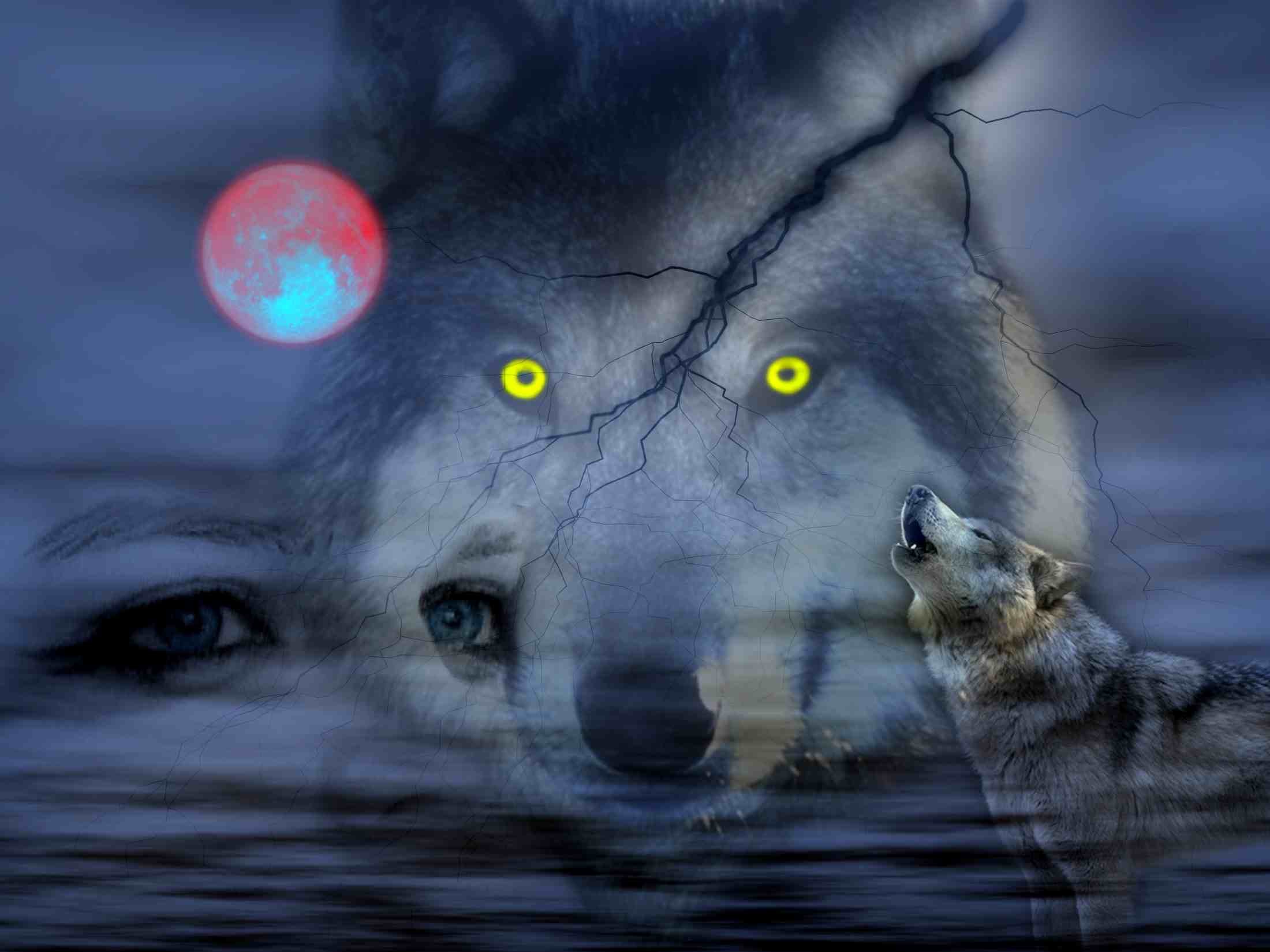 Night Of Wolves wallpaper free
