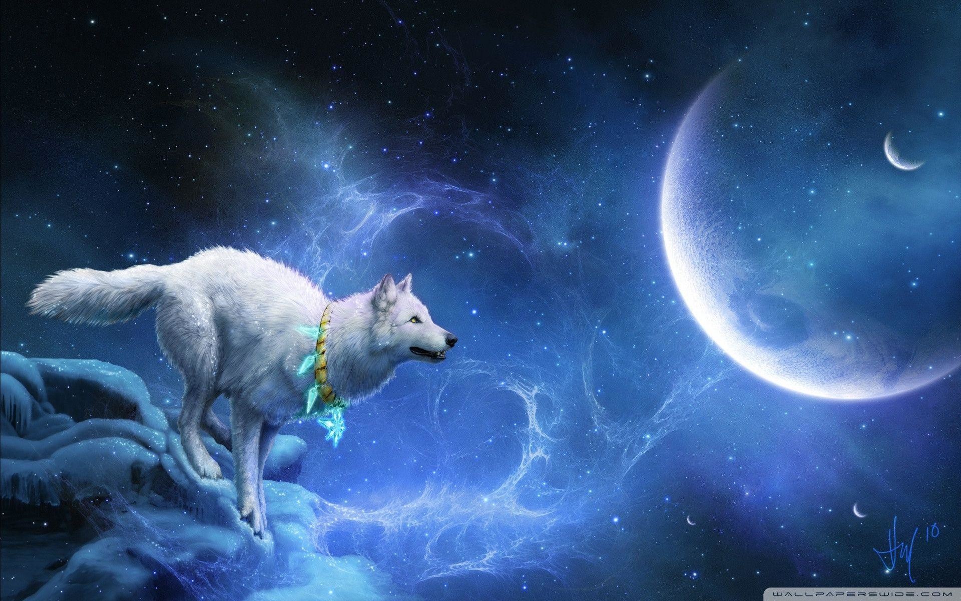 Wallpapers For > Cool Wolf Wallpapers