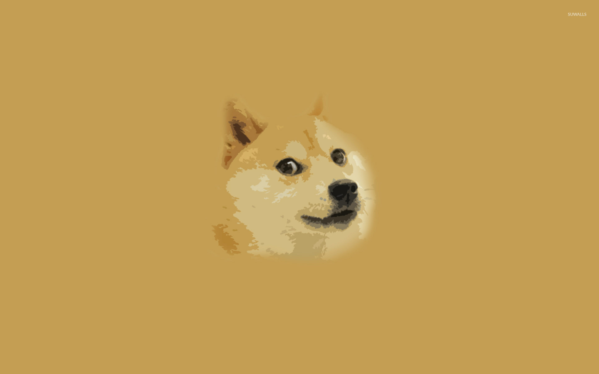 Doge [5] wallpaper jpg