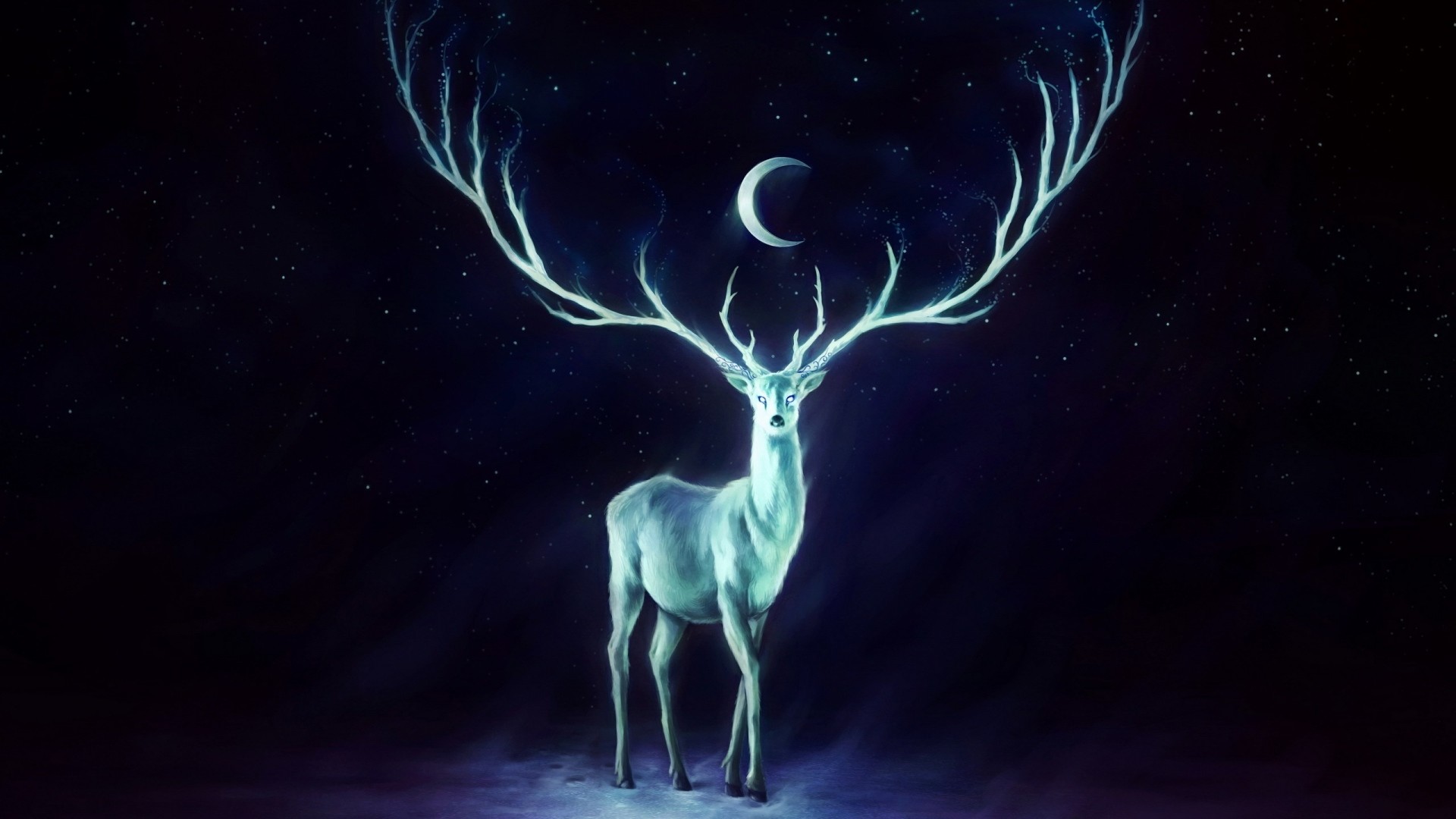Preview wallpaper deer, horns, moon, stars 1920×1080