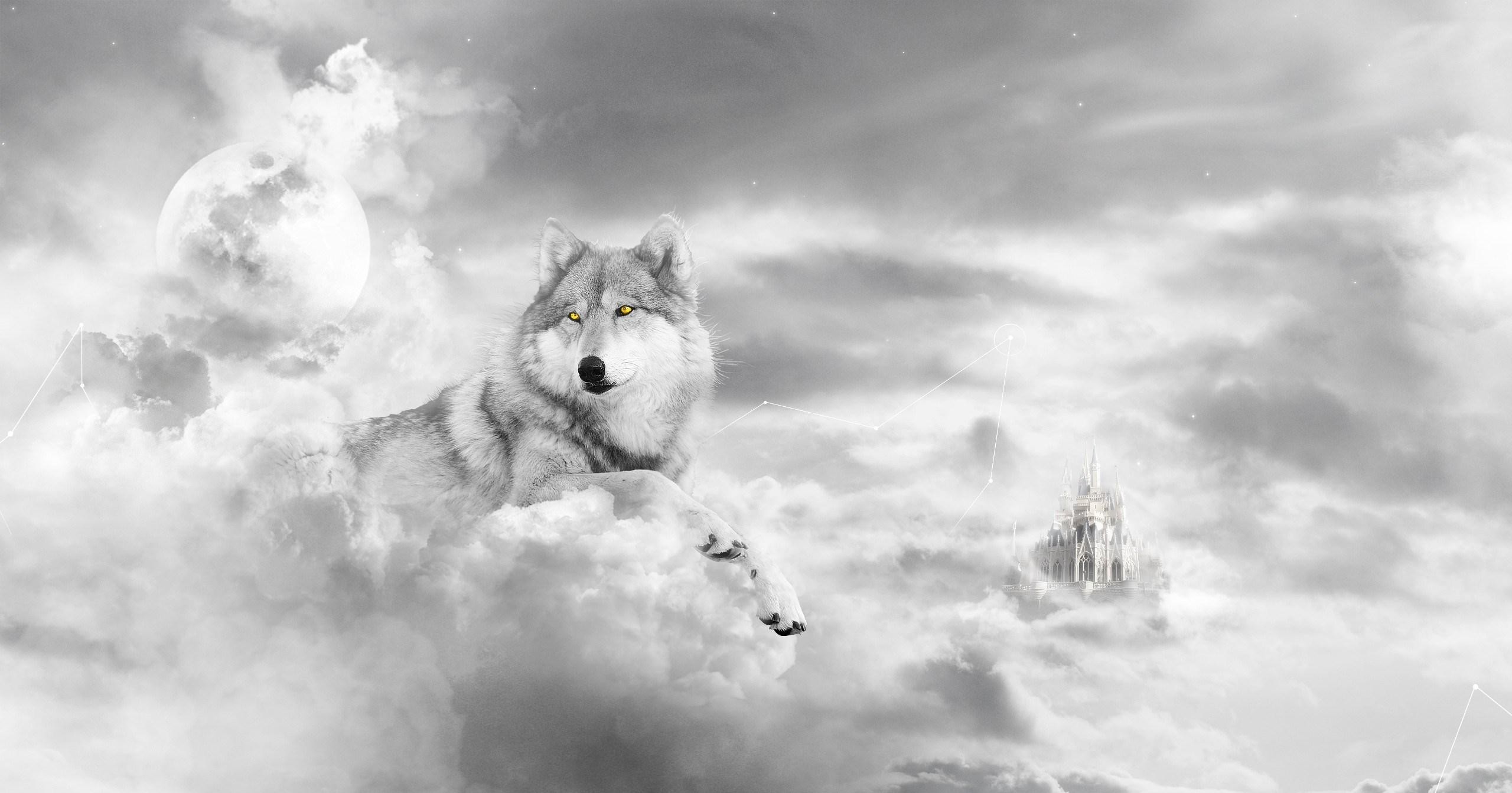 cool wolf in the clouds wallpaper Check more at https://www.finewallpapers