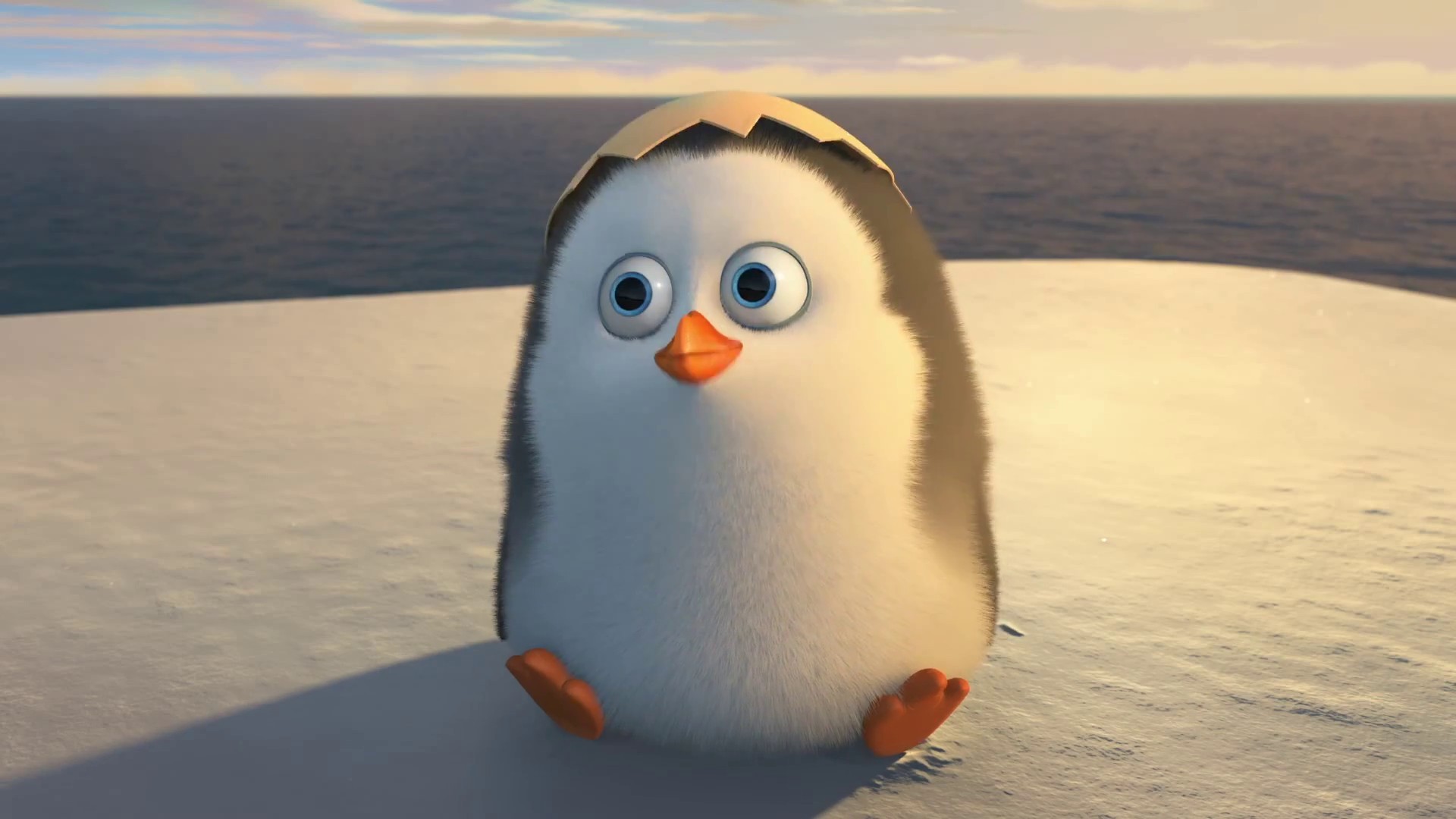 The Penguins of Madagascar Movie 2014 Cute Baby