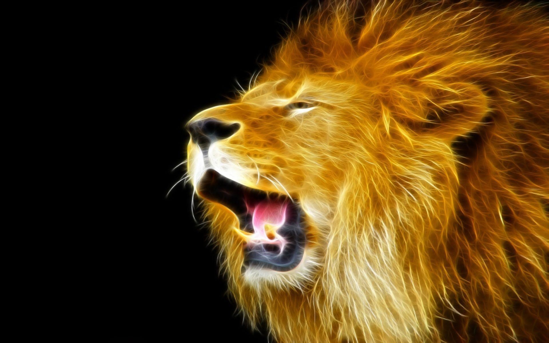 Download Lion Wallpapers – HD Wallpapers Inn