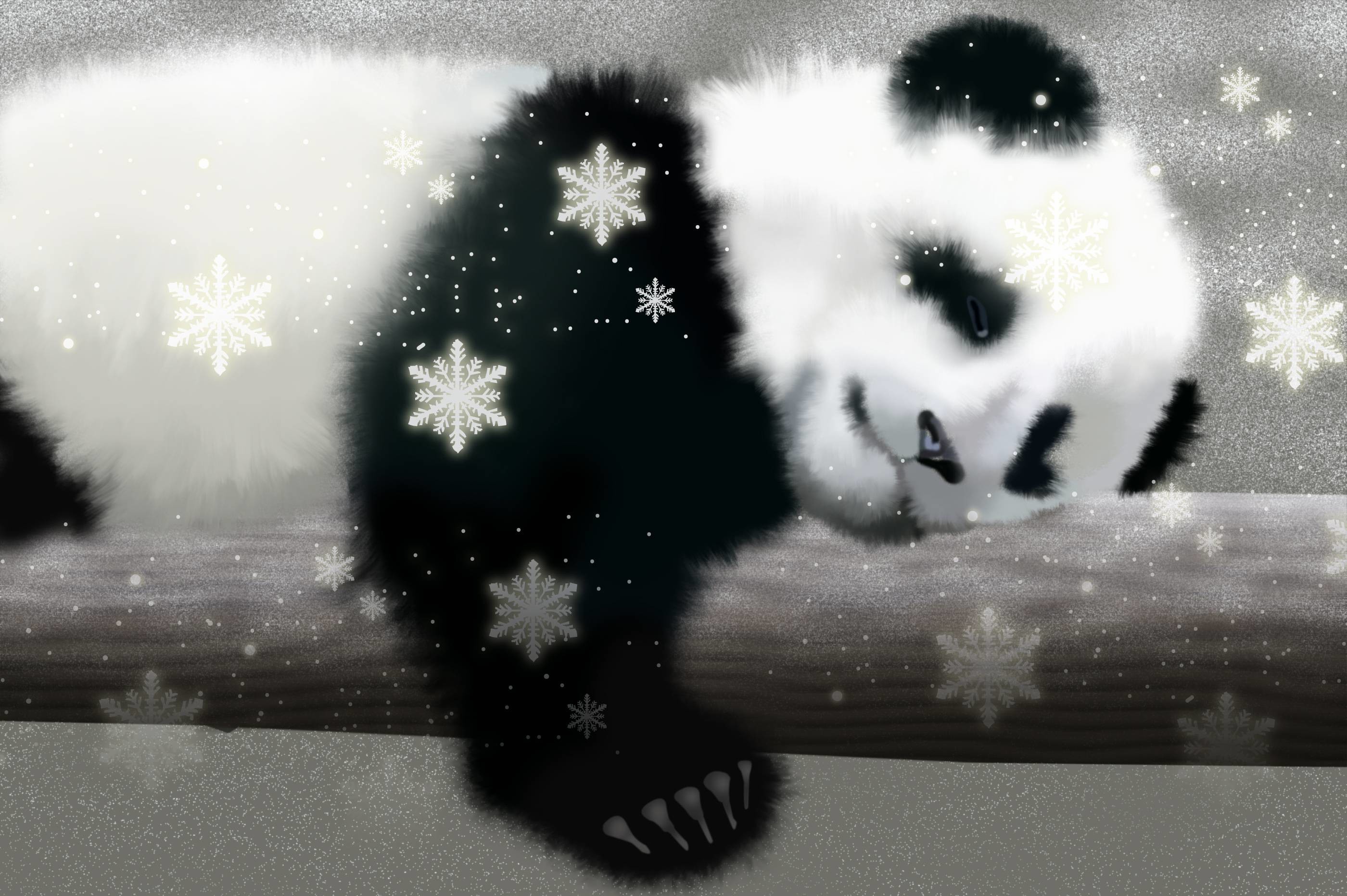 baby panda cartoon wallpaper