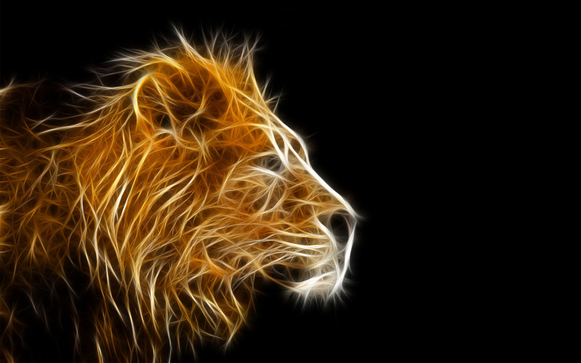Animal Wallpaper Lion Wallpaper Black And White Wallpaper Mobile with High Resolution
