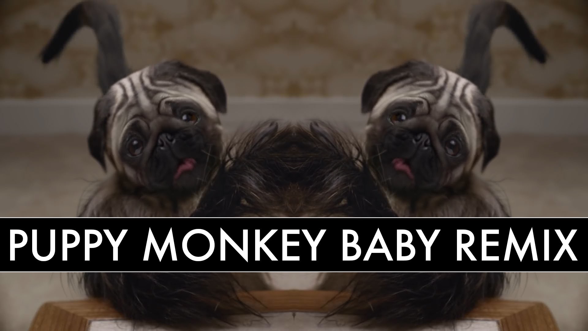 A Remix of the Disturbing Puppy Baby Monkey Mountain Dew Super Bowl 50 Commercial