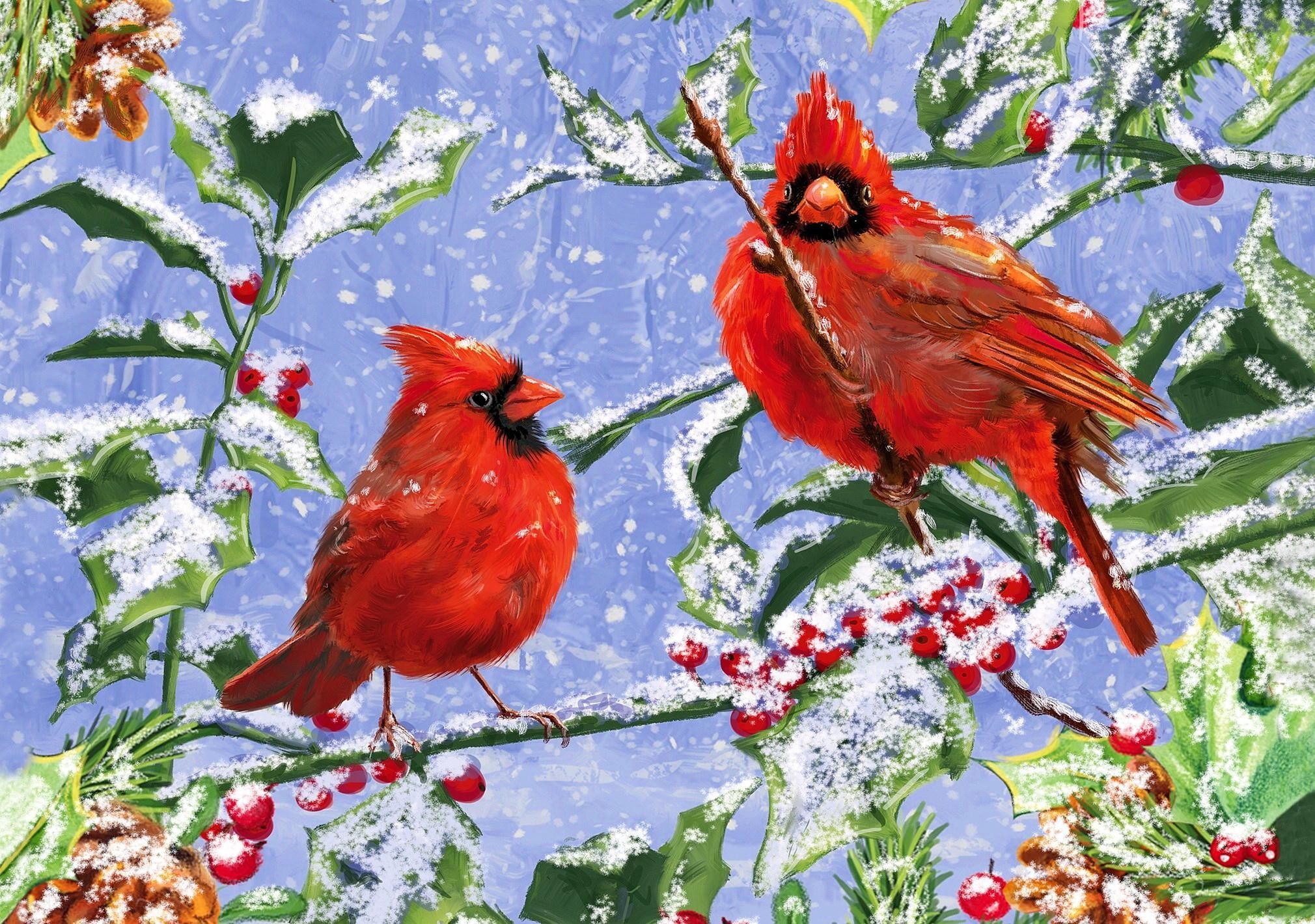 Cardinal winter