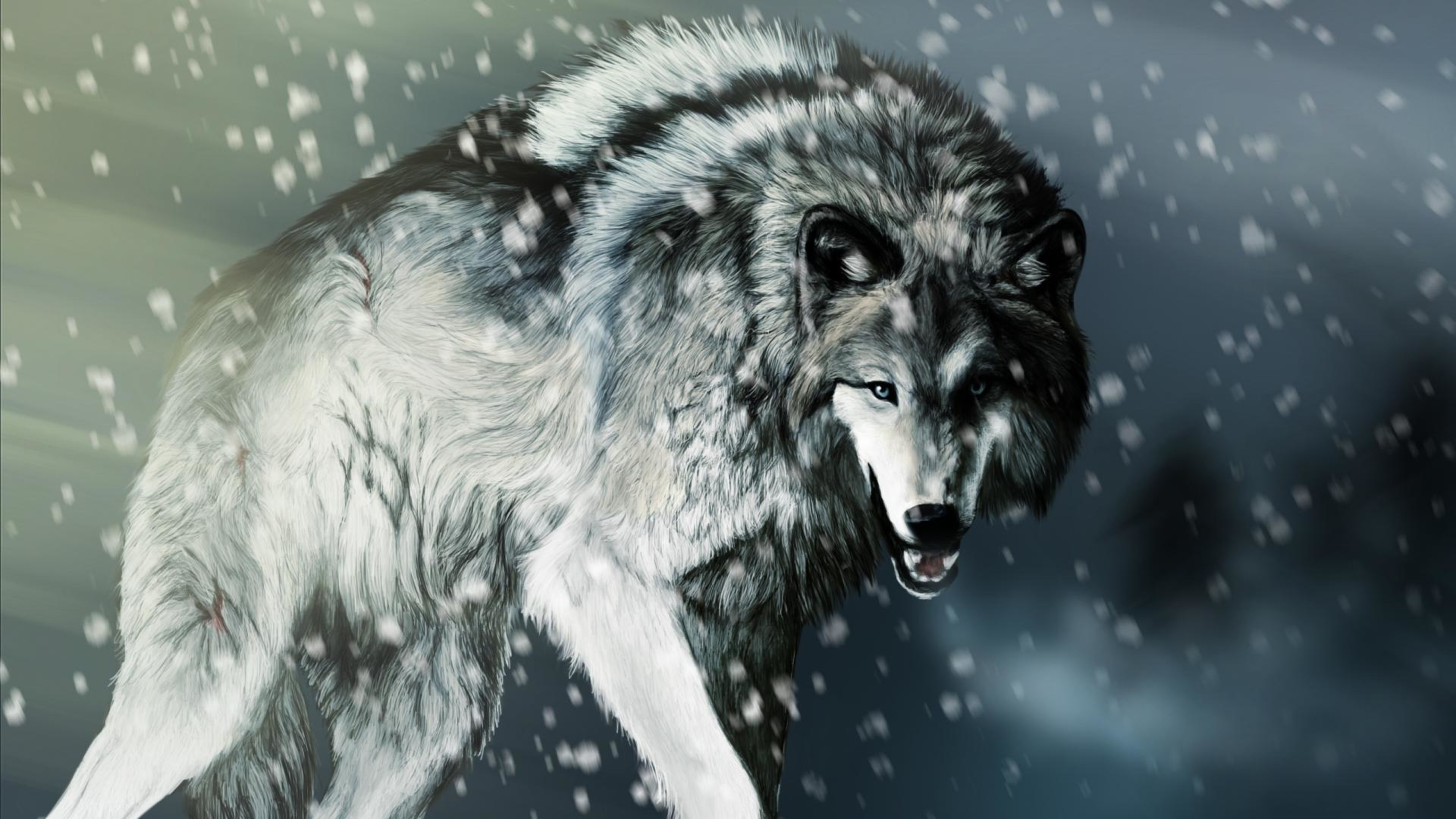 HD Wallpaper | Background ID:543997. Animal Wolf