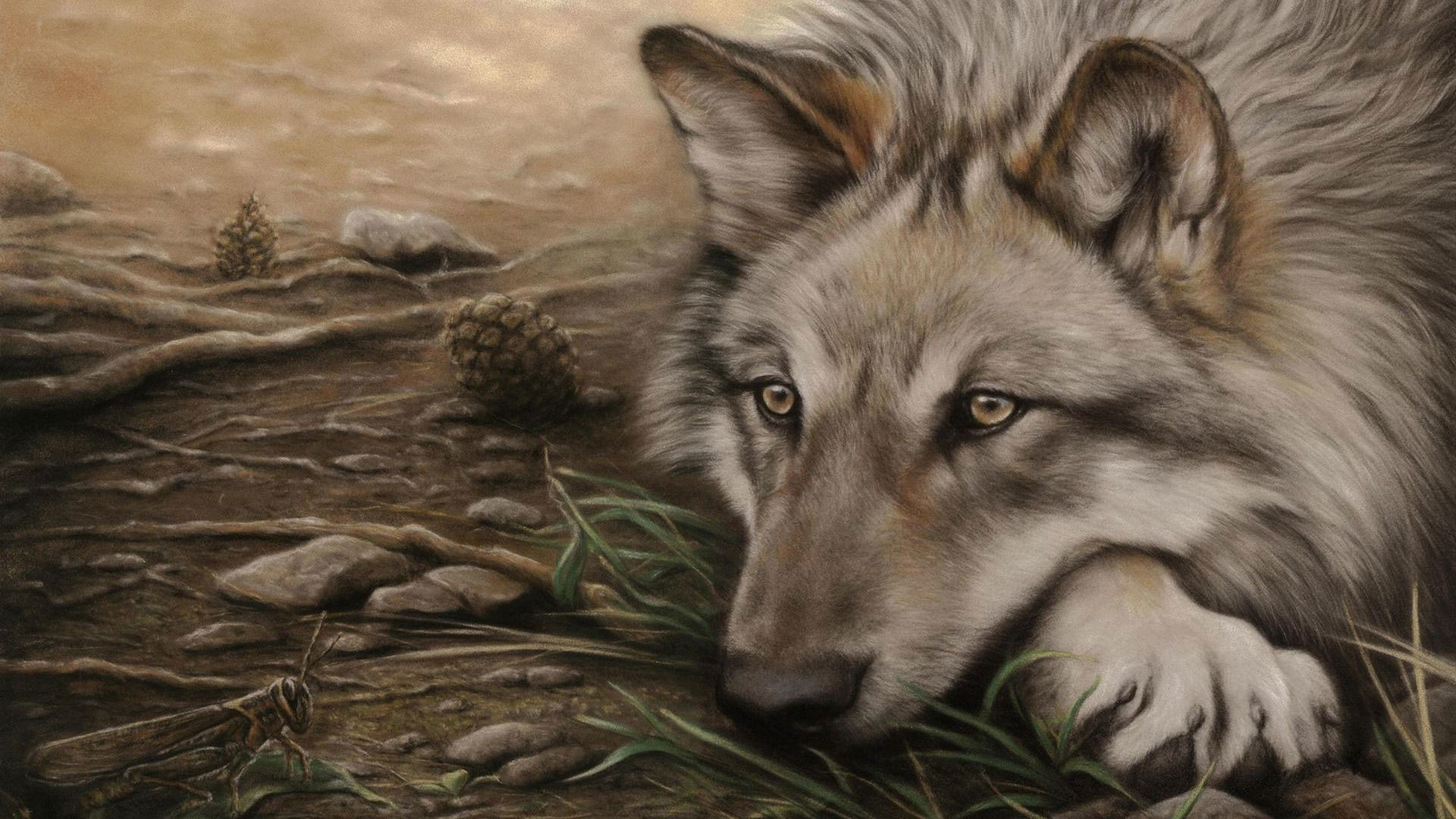 Hd pics photos attractive animated wolf drawing painting hd quality desktop background wallpaper