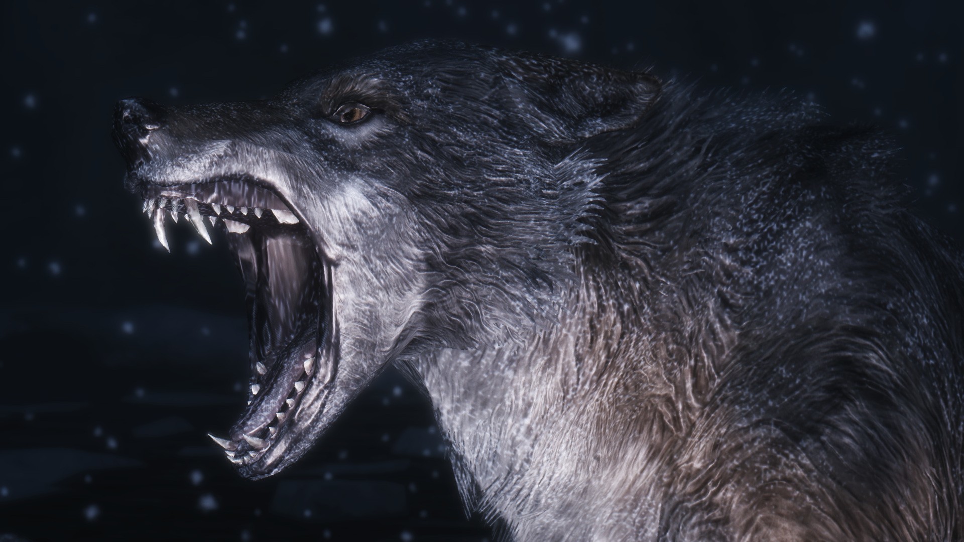 Wolf Computer Wallpapers, Desktop Backgrounds ID309182