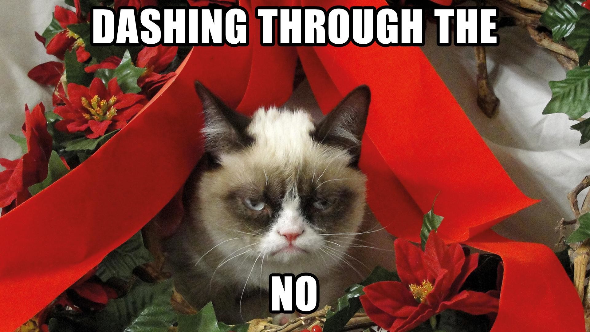 Grumpy Cat Meme Pictures humor funny cats christmas wallpaper 98020 Wallpap...