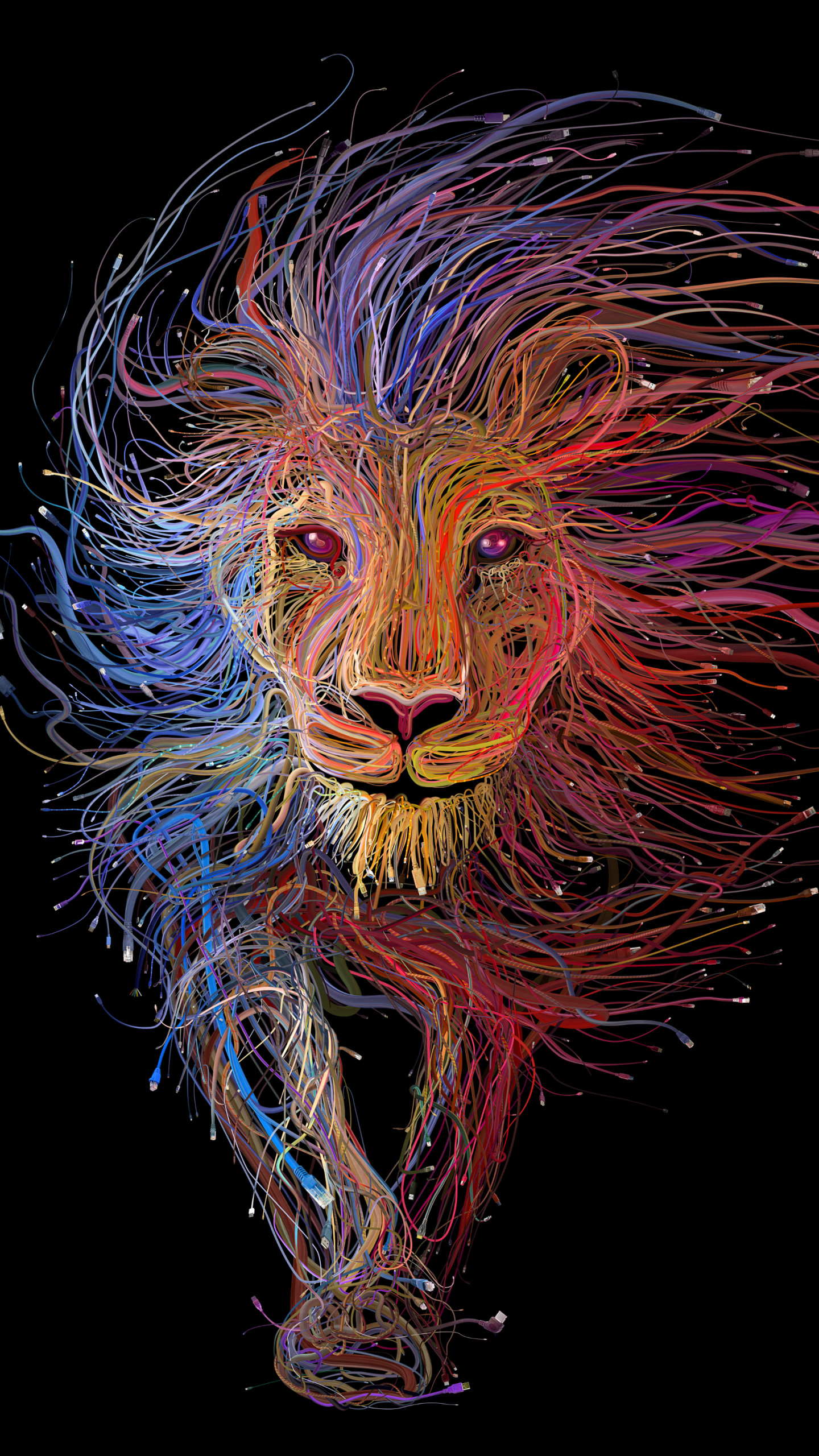 iPhone Lion 4k Wallpapers  Wallpaper Cave