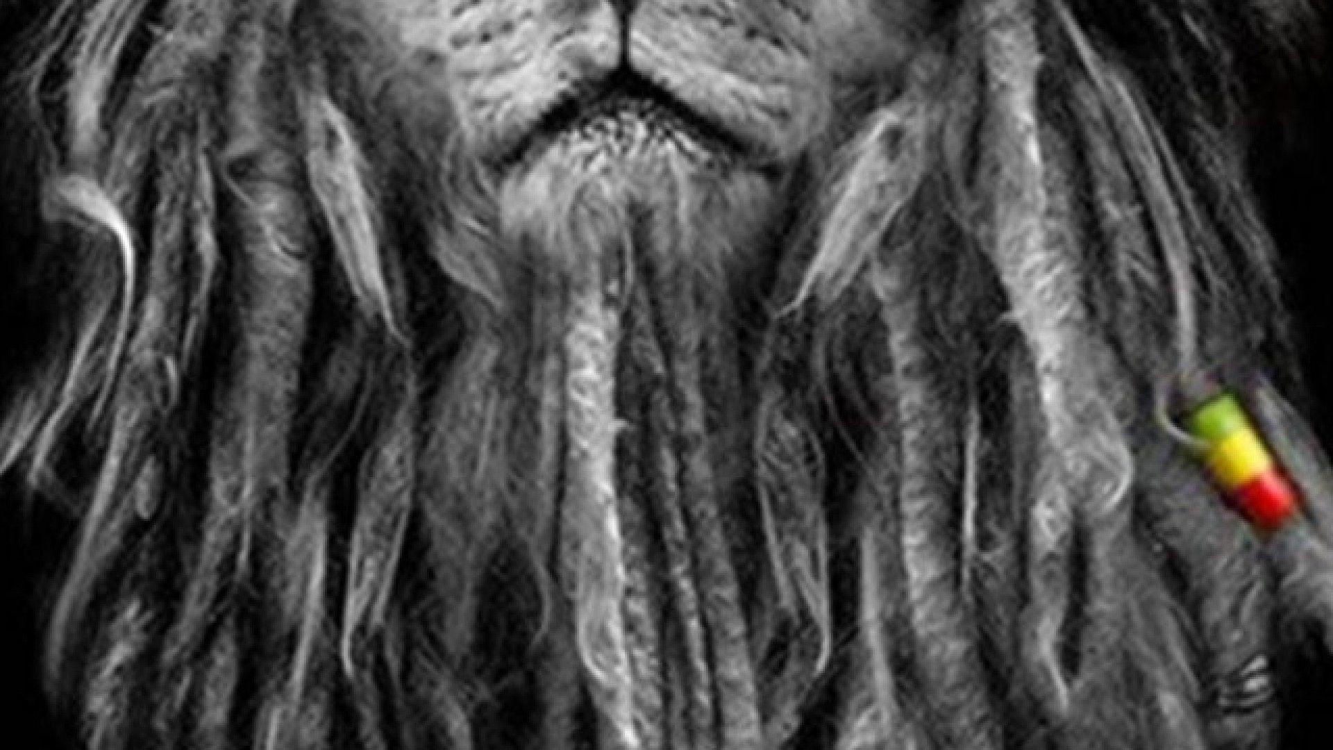 My Top Collection: Rasta lion wallpaper Rasta Lion Wallpapers Wallpapers)