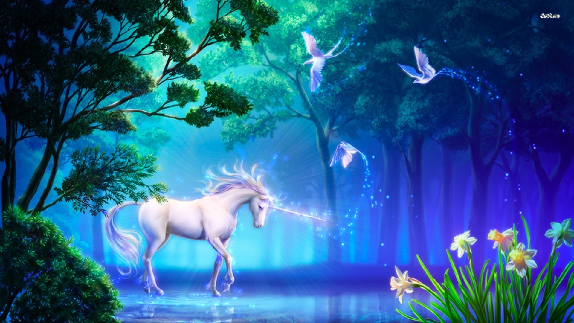 Unicorn in the forest Fantasy HD desktop wallpaper, Bird wallpaper, Forest wallpaper, Unicorn wallpaper – Fantasy no