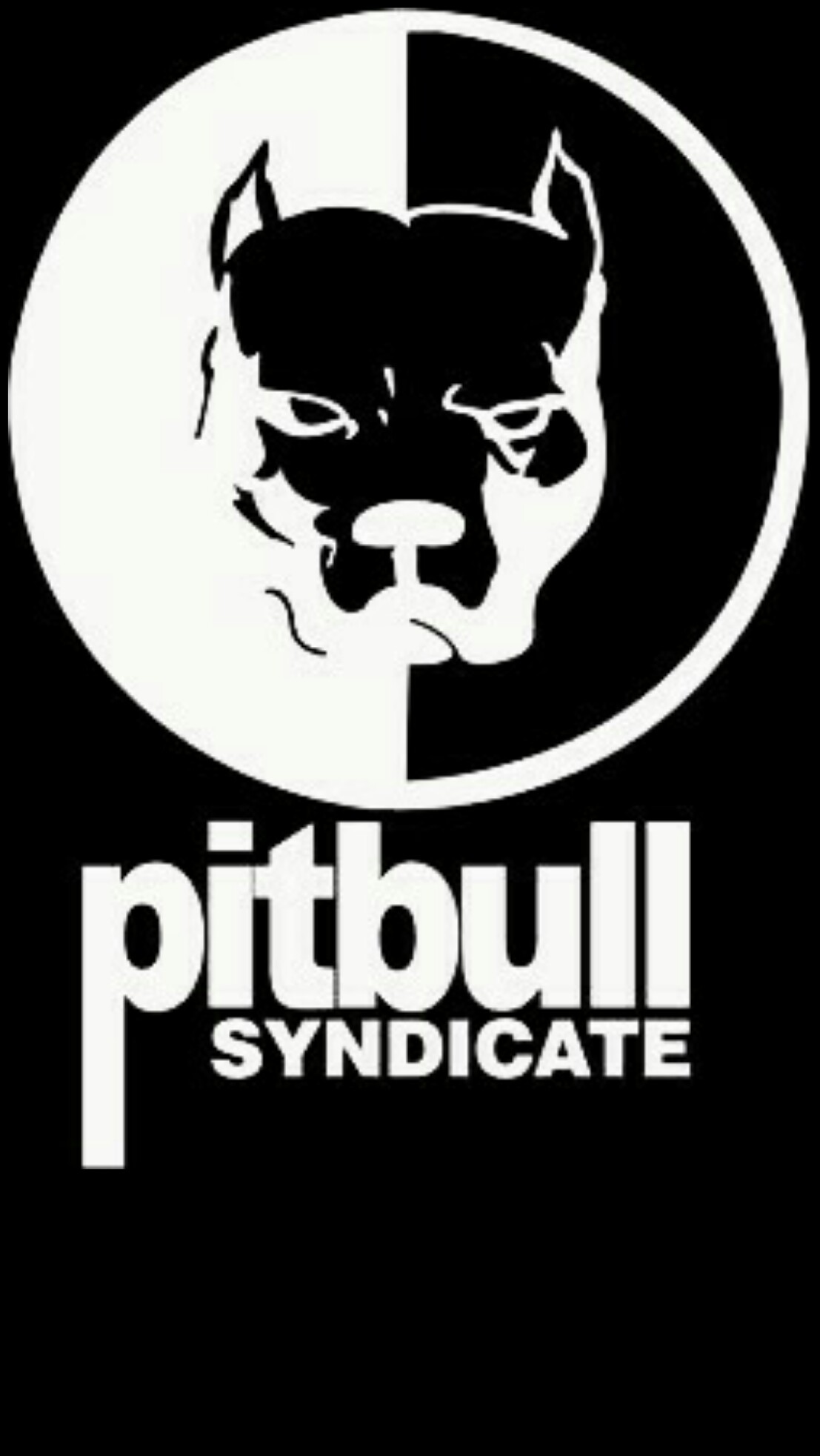 #pitbull #black #wallpaper #android #iphone