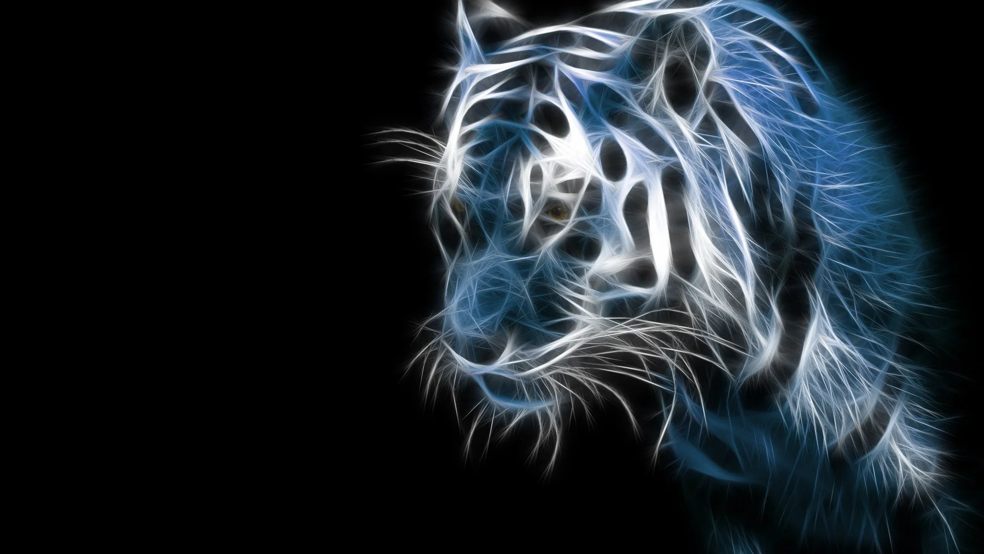 Samsung Galaxy Wallpapers HD – Beautiful black and white tiger wallpaper