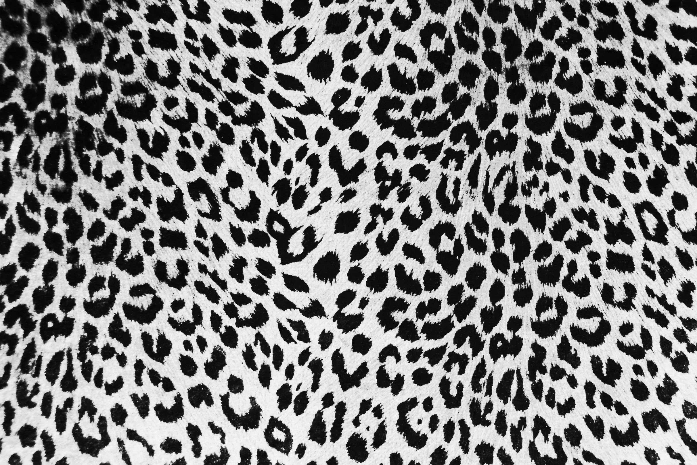 Leopard Print Wallpaper. Black And White Zebra Print