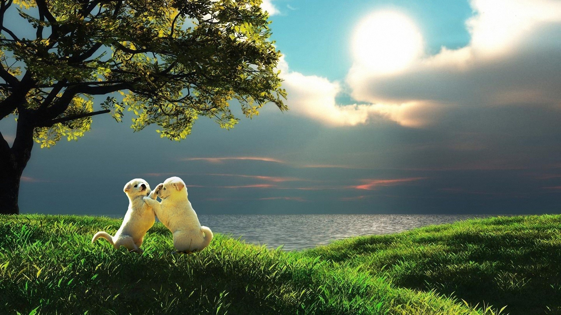 Preview wallpaper puppy, couple, sunset, nature, play, kids 1920×1080