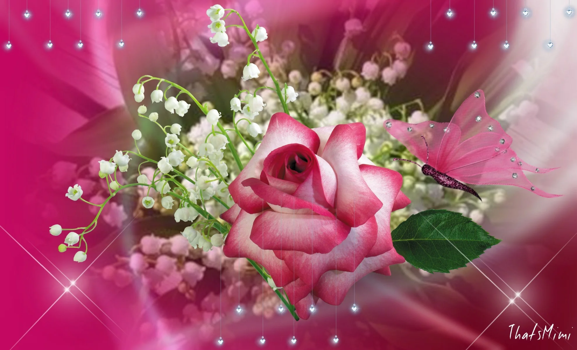 Beautiful Single Pink Rose Butterfly Pretty Amazing Flower Desktop Wallpapers