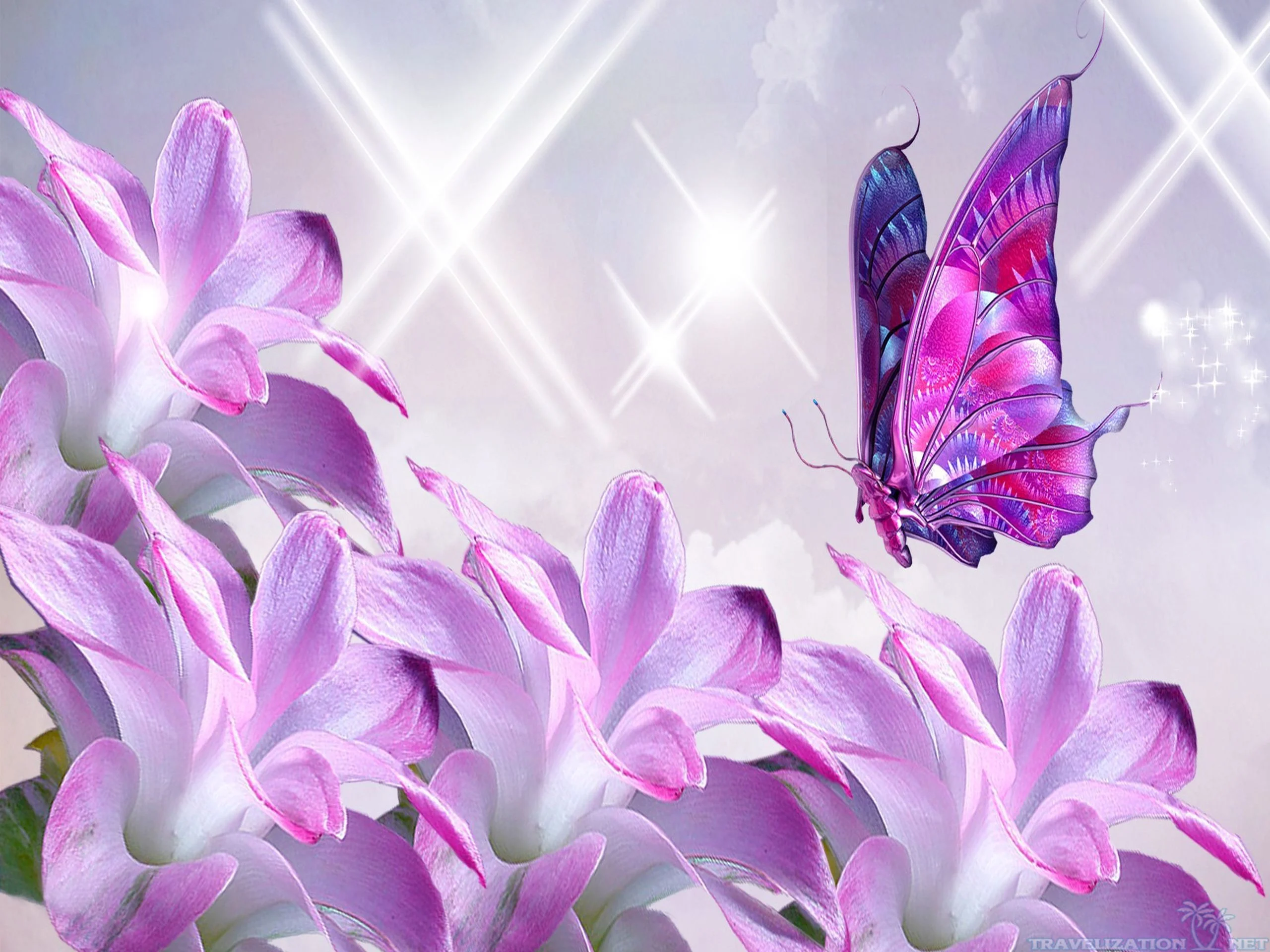 106+ Beautiful Butterflies and Flowers