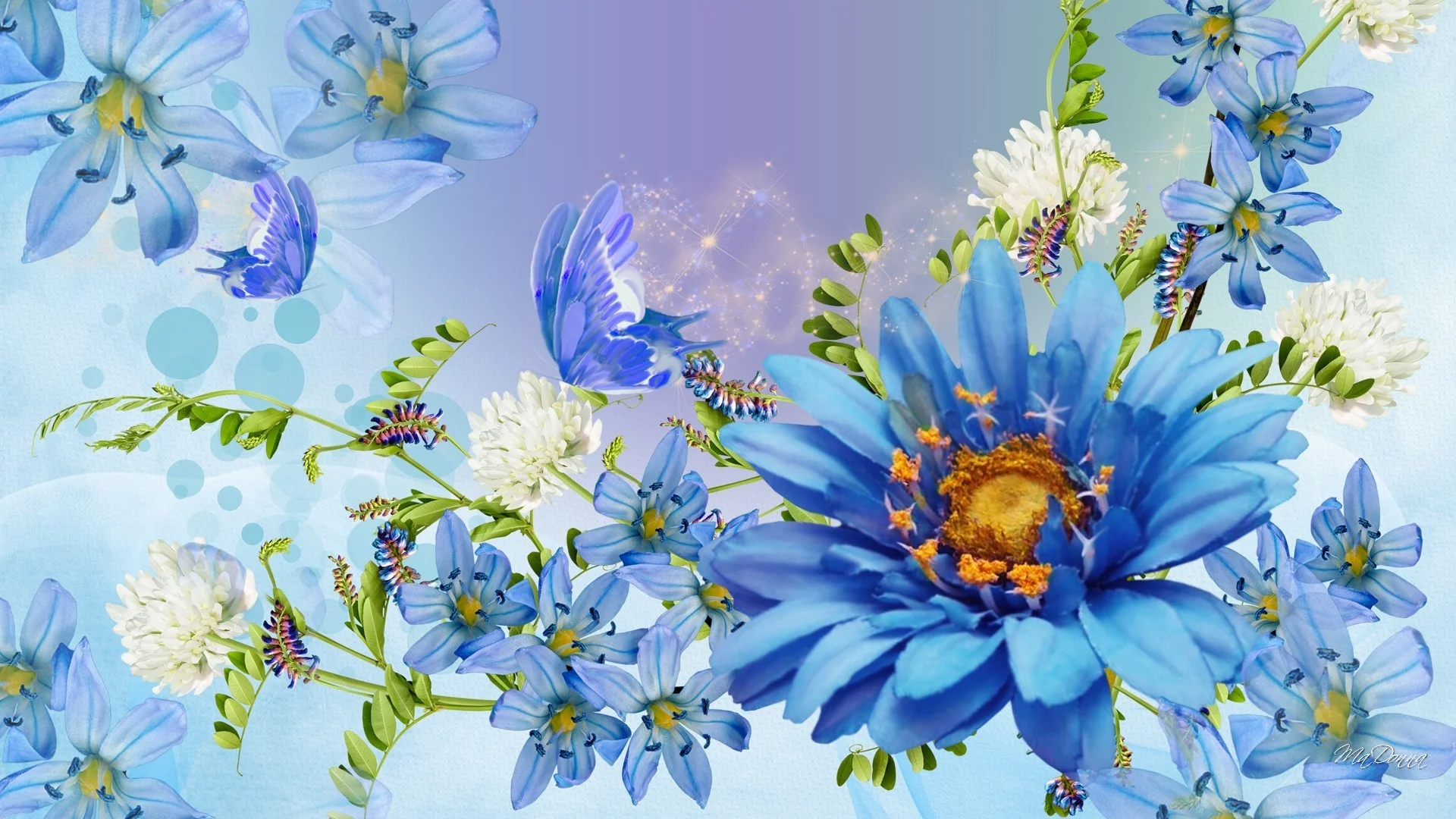 Beautiful Spring Blue Blossoms Bright Clover Blues Papillon Butterfly Fleurs Lavender Blooms Flowers Summer Flower Wallpapers