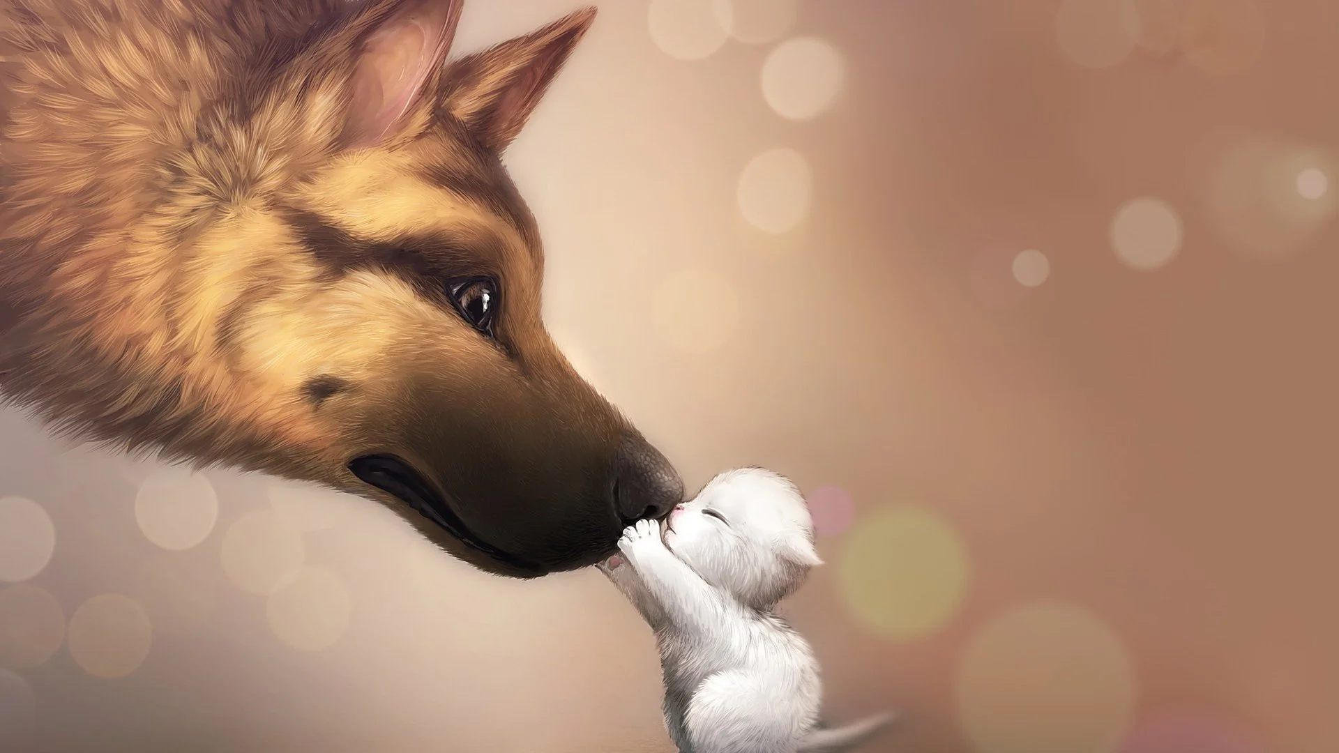anime, Bokeh, Artwork, Dog, Cat, Baby Animals Wallpapers HD / Desktop and  Mobile Backgrounds