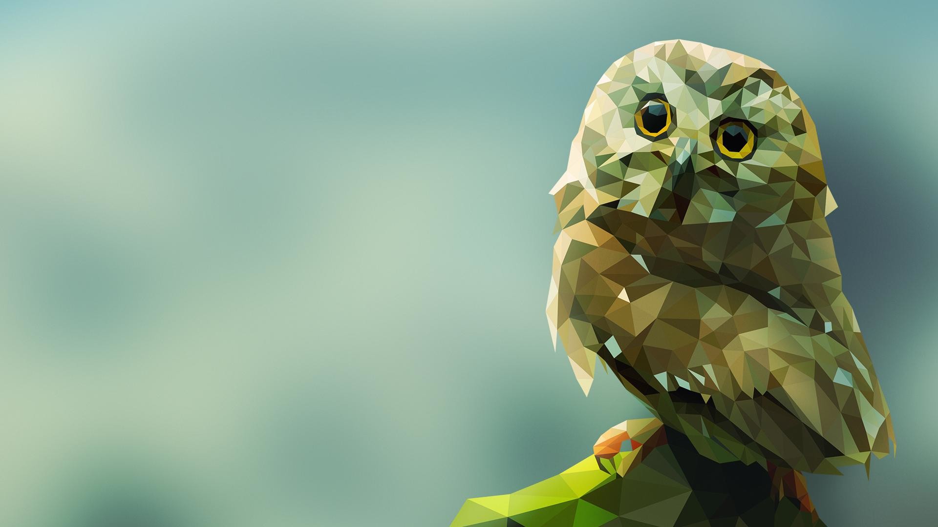 owl wallpaper and image