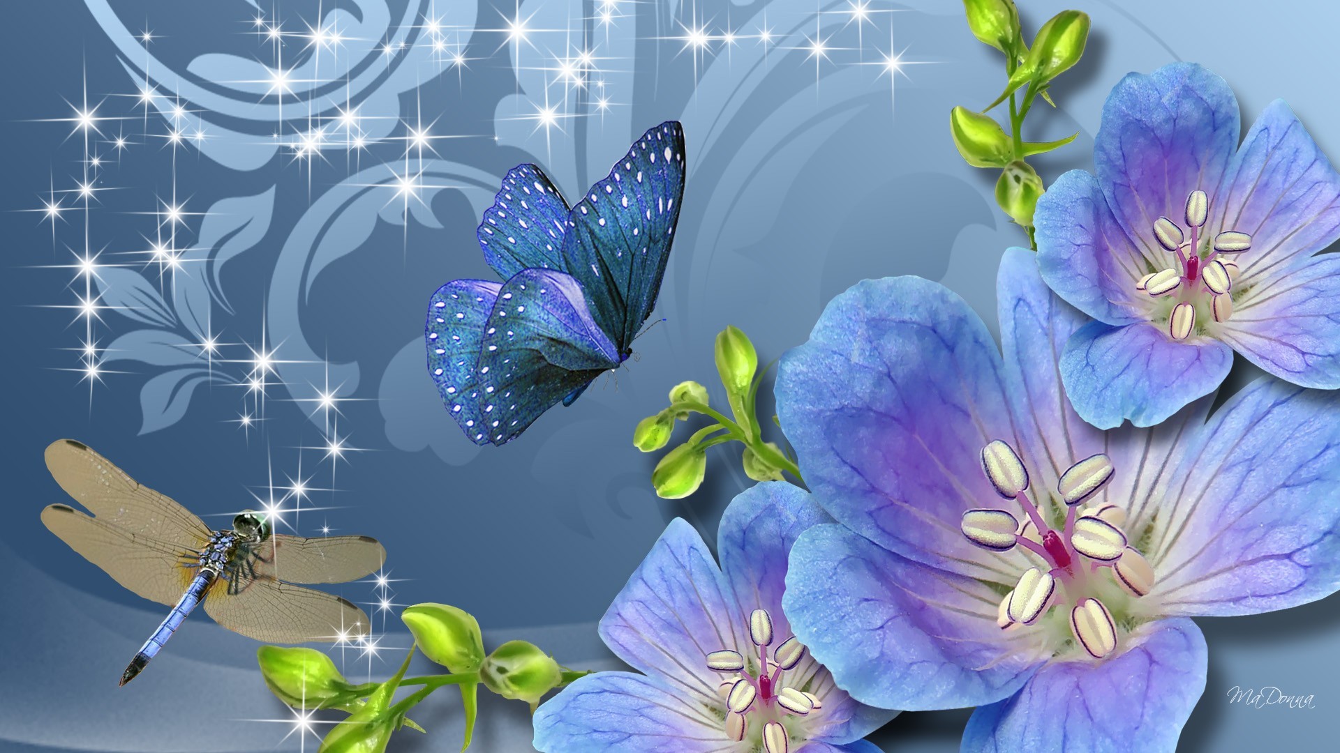 Обои на стол бабочки. Бабочки. Красивые цветы и бабочки. Картинки на рабочий стол бабочки. Волшебные бабочки.