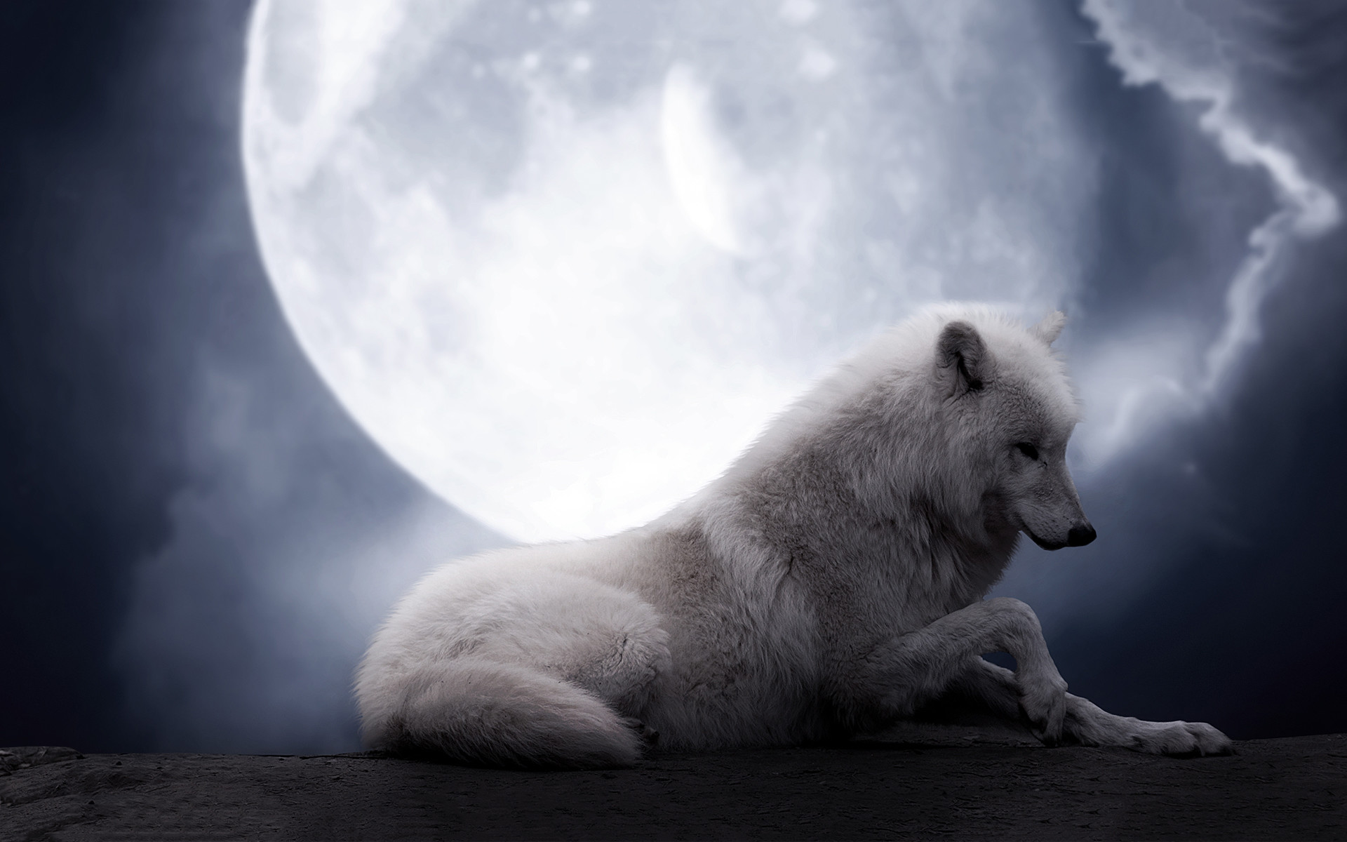 Free pictures of wolves HD The Wolf Moon Wallpaper