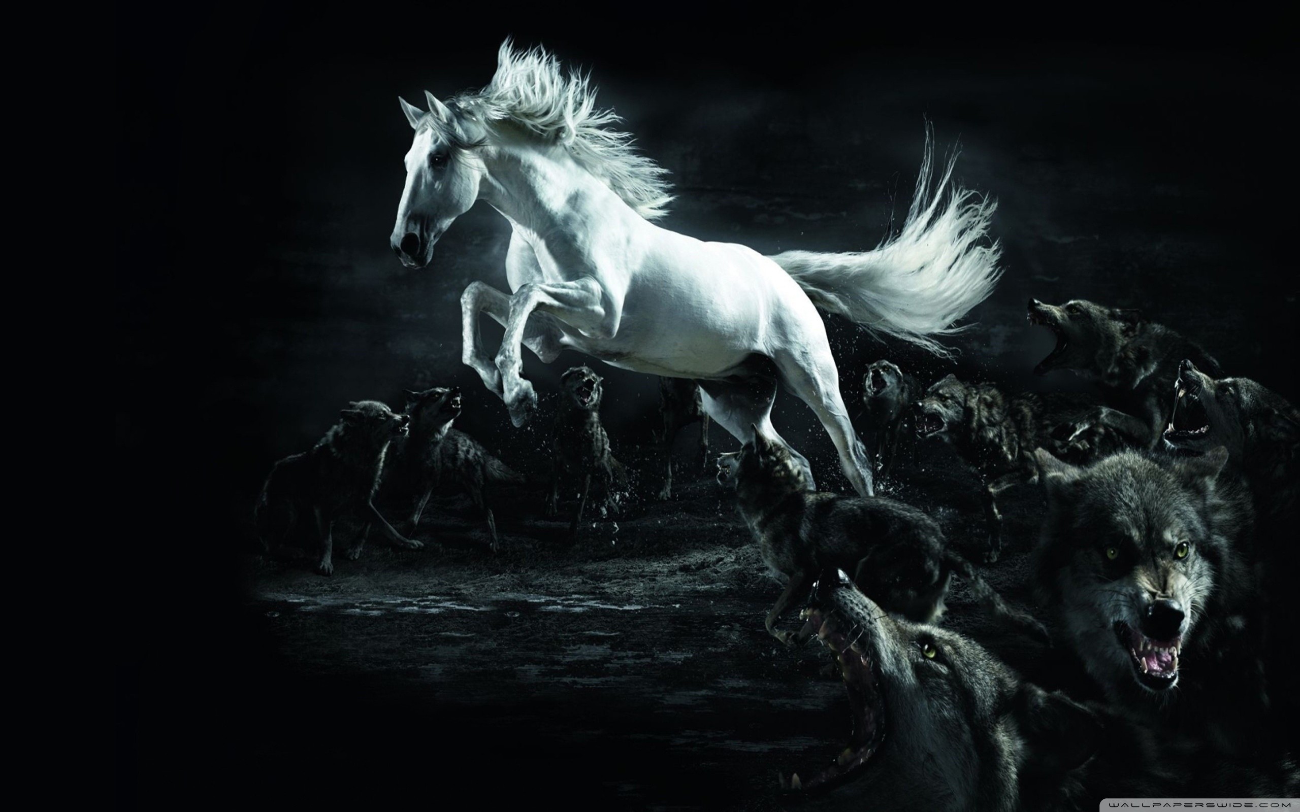 Horse and Wolves HD Wide Wallpaper for Widescreen