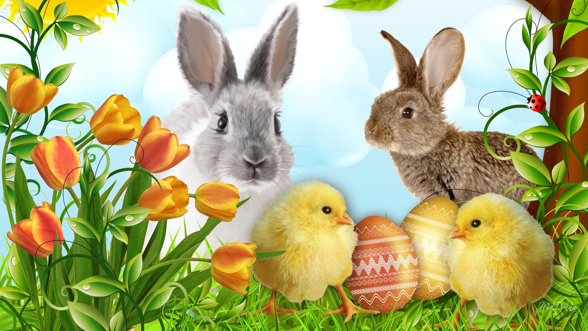 Happy Easter desktop hd wallpapers, hd images. Happy Easter cute bunny.