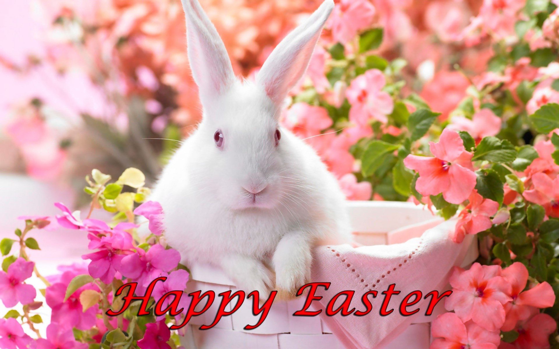 Happy Easter, White Bunny in Basket Surrounded by Flowers .